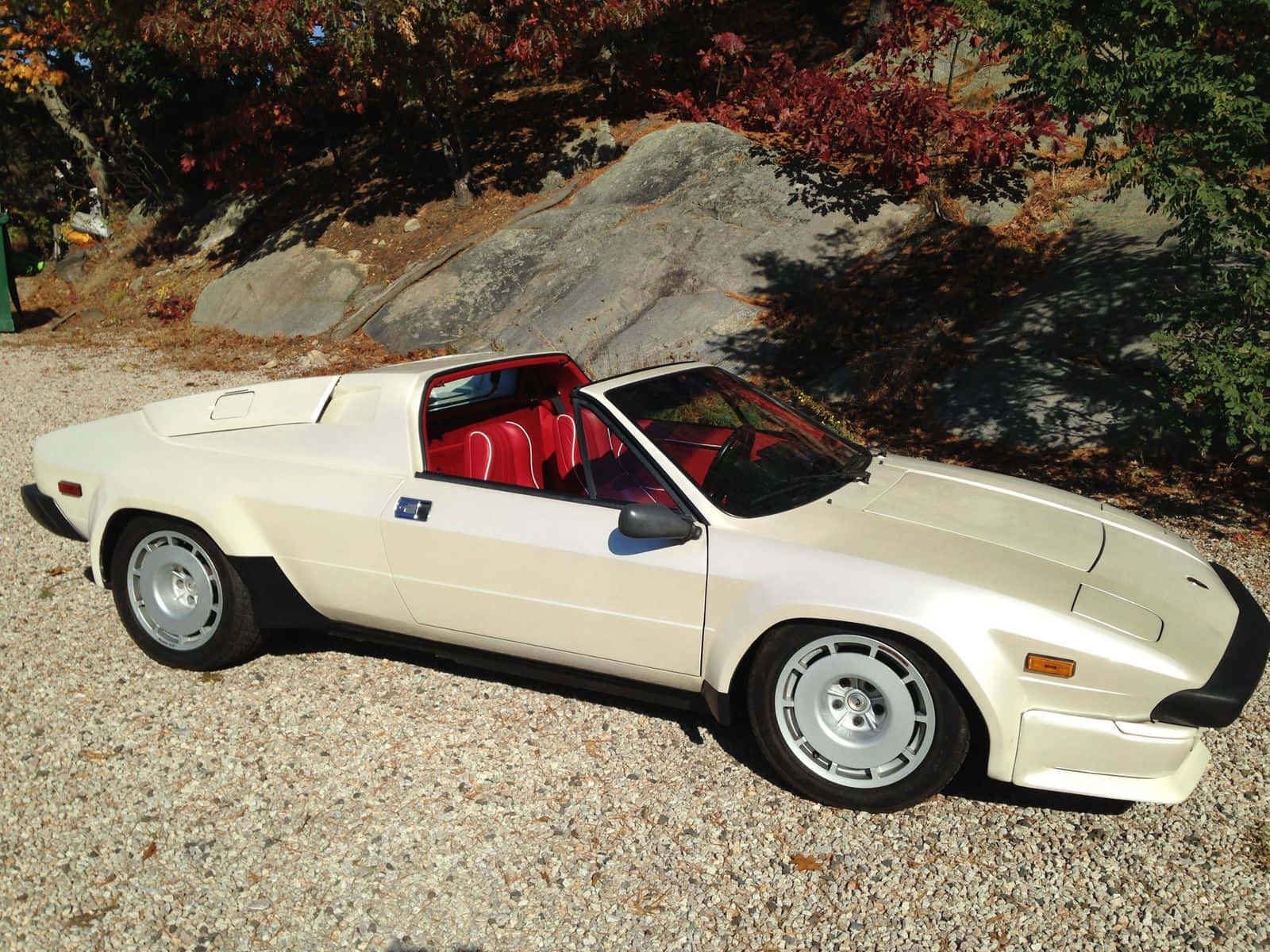 Lamborghini Jalpa, cream-colored, red interior, HD Desktop Wallpaper