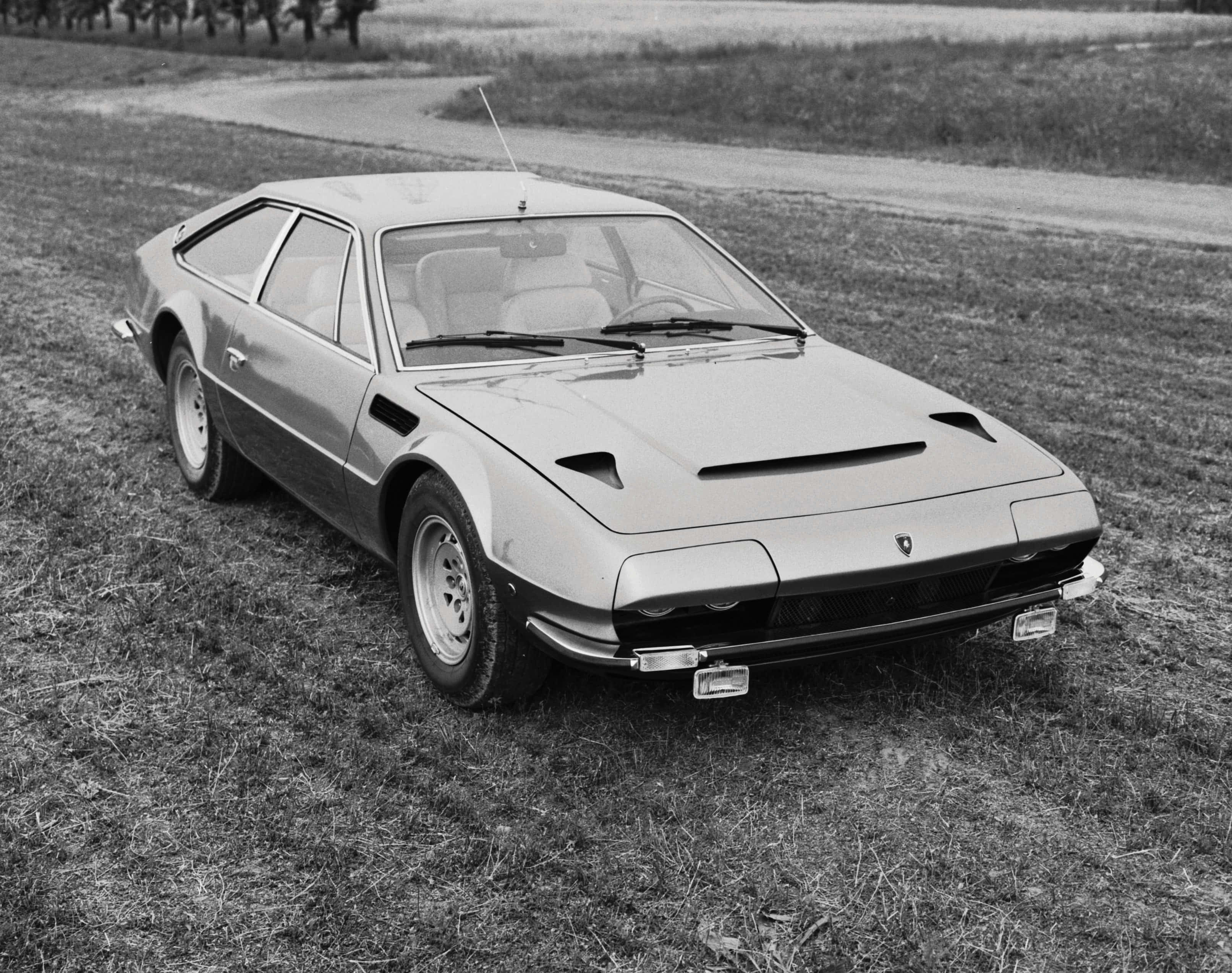 Lamborghini Jarama, classic black and white photograph, grassy field, 2K Desktop Wallpaper