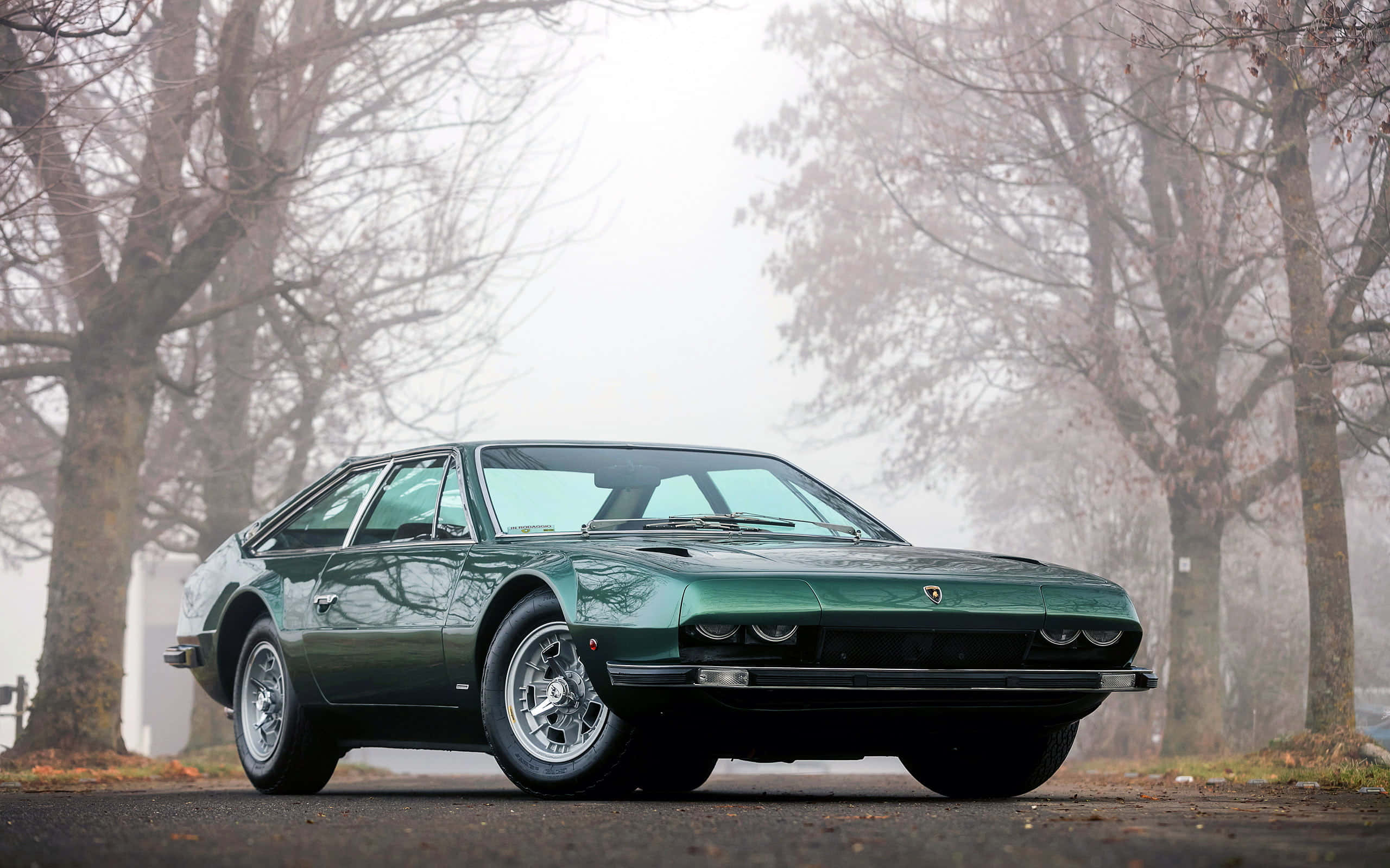 Lamborghini Jarama, sleek green classic sports car, misty forest road, 2K Desktop Wallpaper