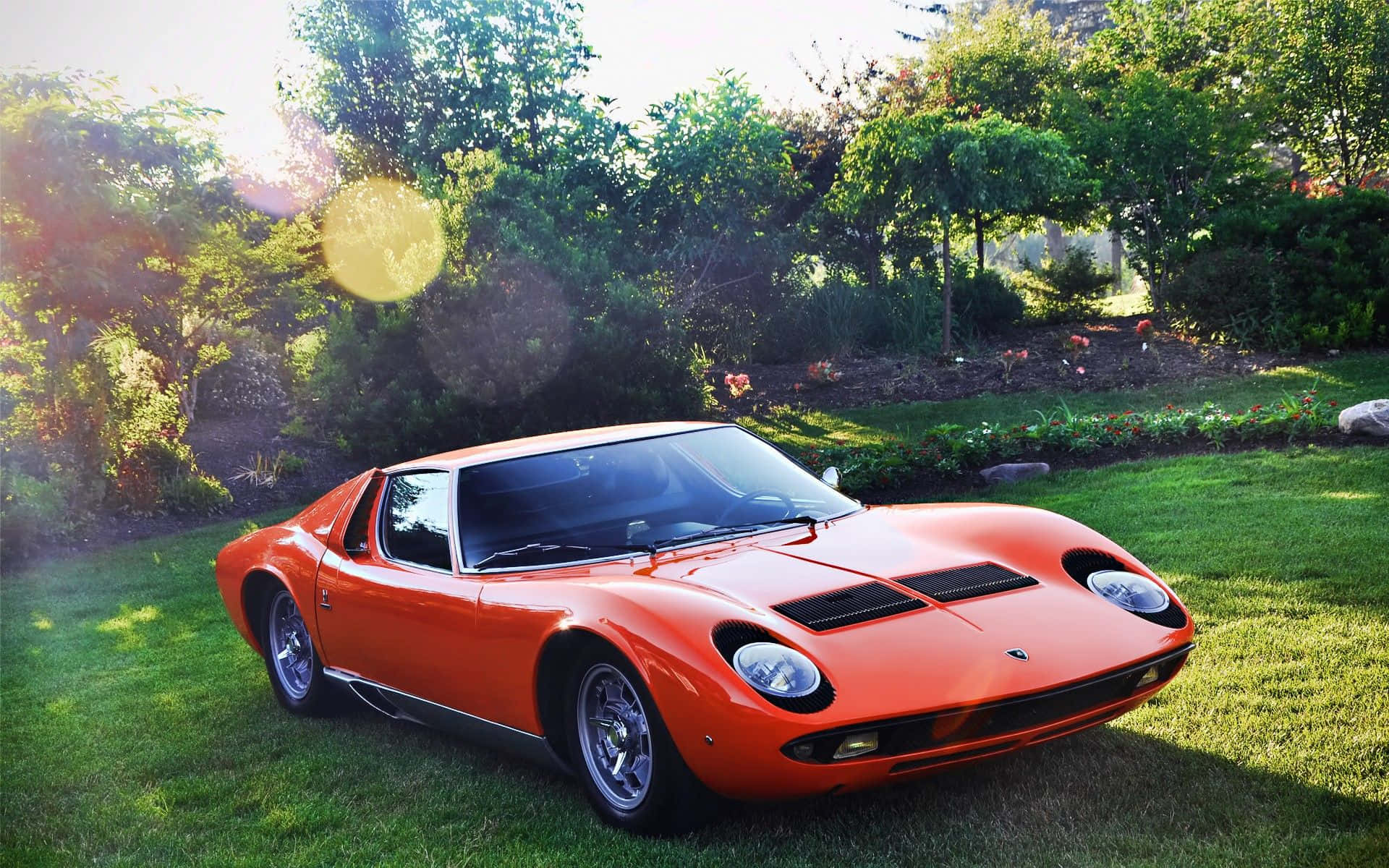 Lamborghini Miura, vibrant orange, sunlit lawn, Full HD Desktop Wallpaper