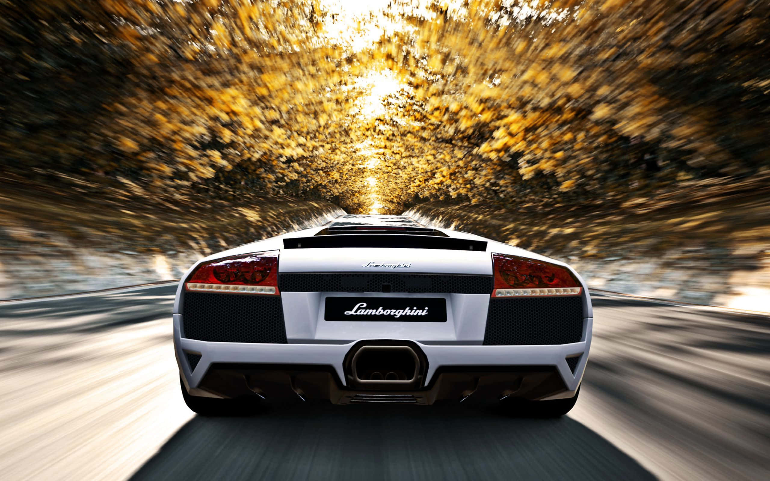 Lamborghini Murciélago, white, tunnel of golden autumn leaves, 2K Desktop Wallpaper
