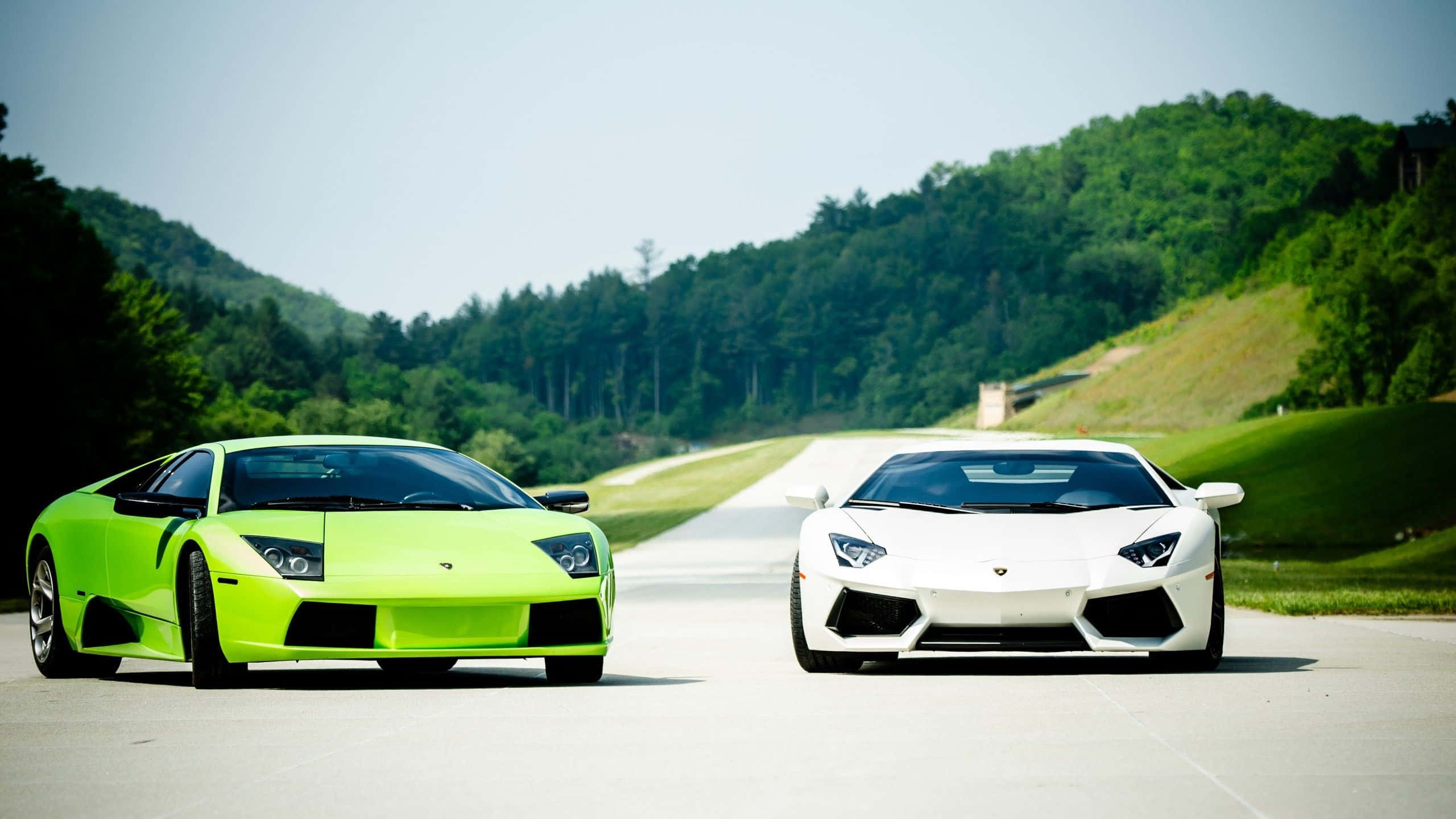 Lamborghini Murciélago, neon green, white, 2K Desktop Wallpaper
