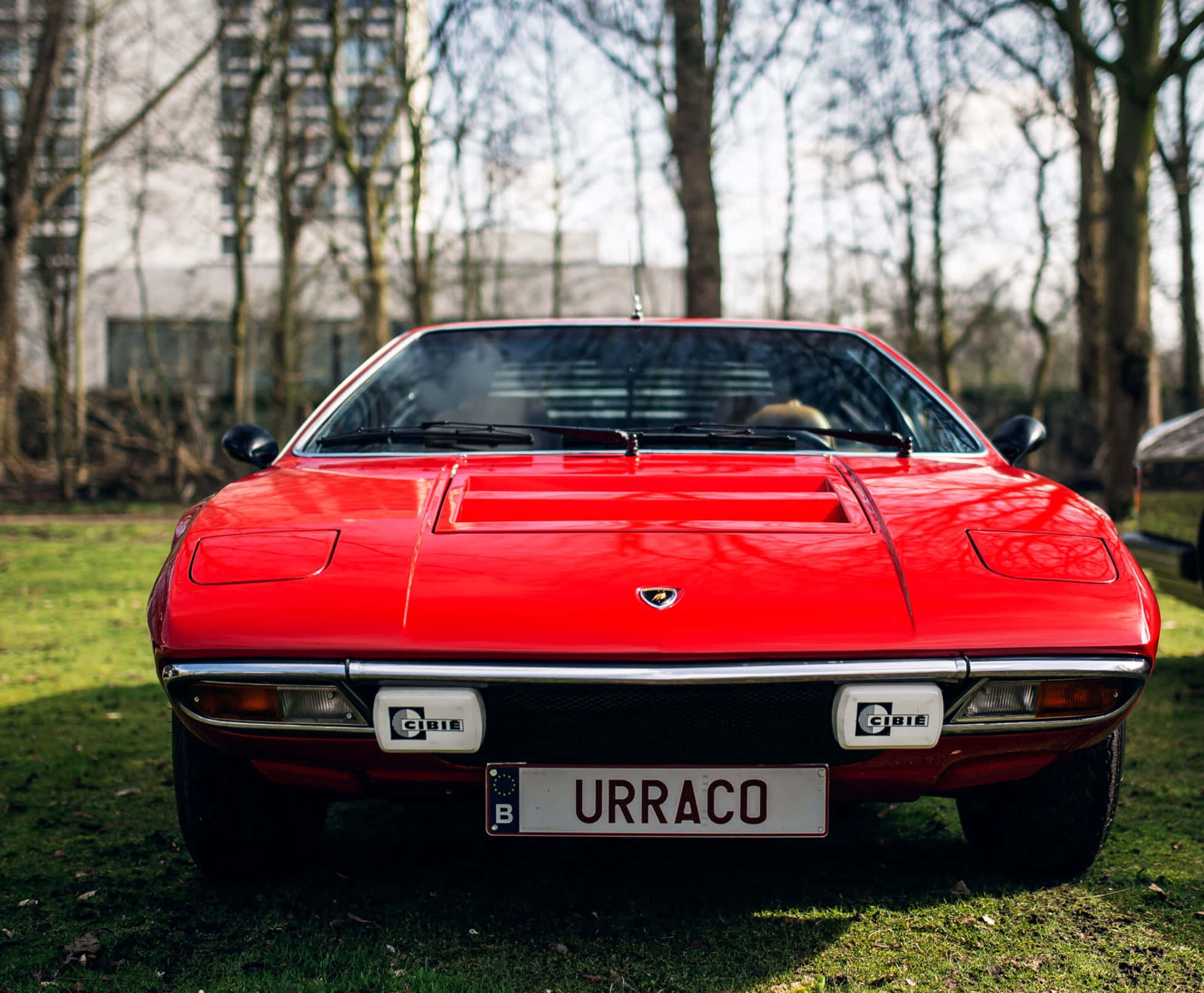 Lamborghini Urraco, vibrant red, parked on grass, Full HD Desktop Wallpaper