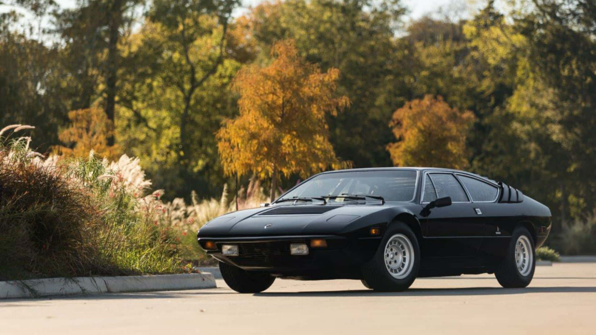 Lamborghini Urraco, black, paved road, Full HD Desktop Wallpaper