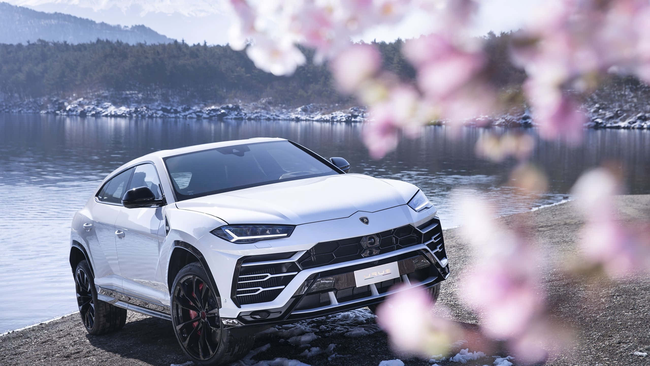 Lamborghini Urus, white, snowy lake, 2K Desktop Wallpaper