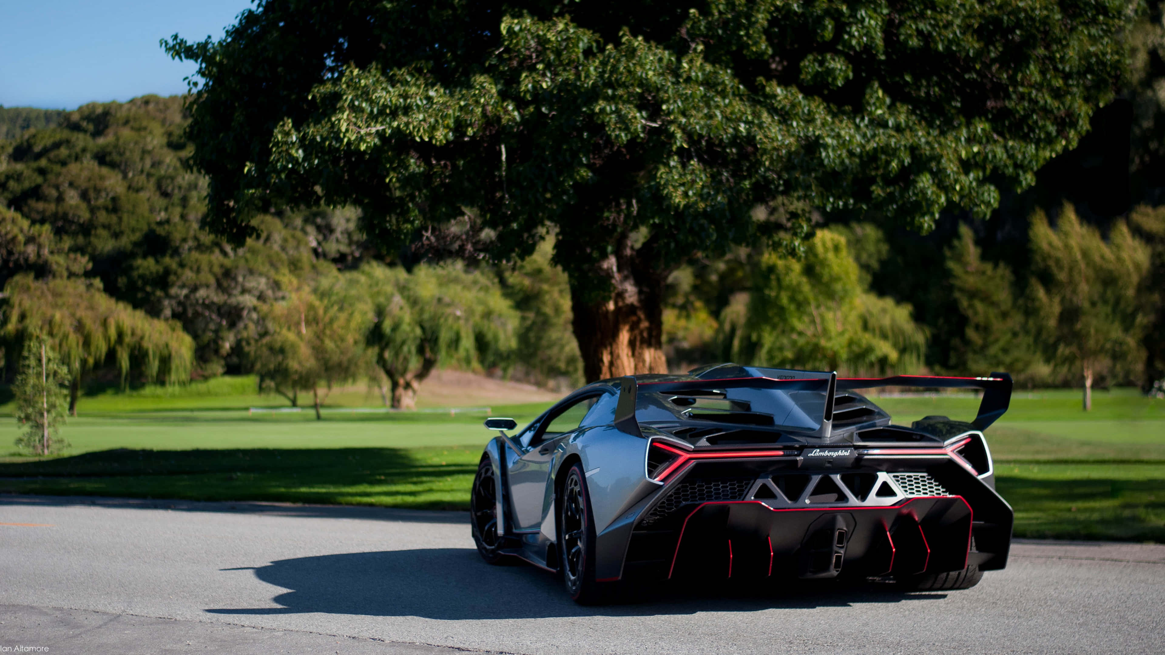 Lamborghini Veneno, silver, red accents, 4K Desktop Wallpaper