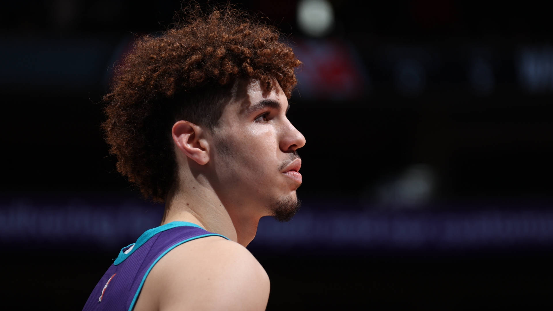 Lamelo Ball, purple and teal jersey, curly brown hair, Full HD Desktop Wallpaper