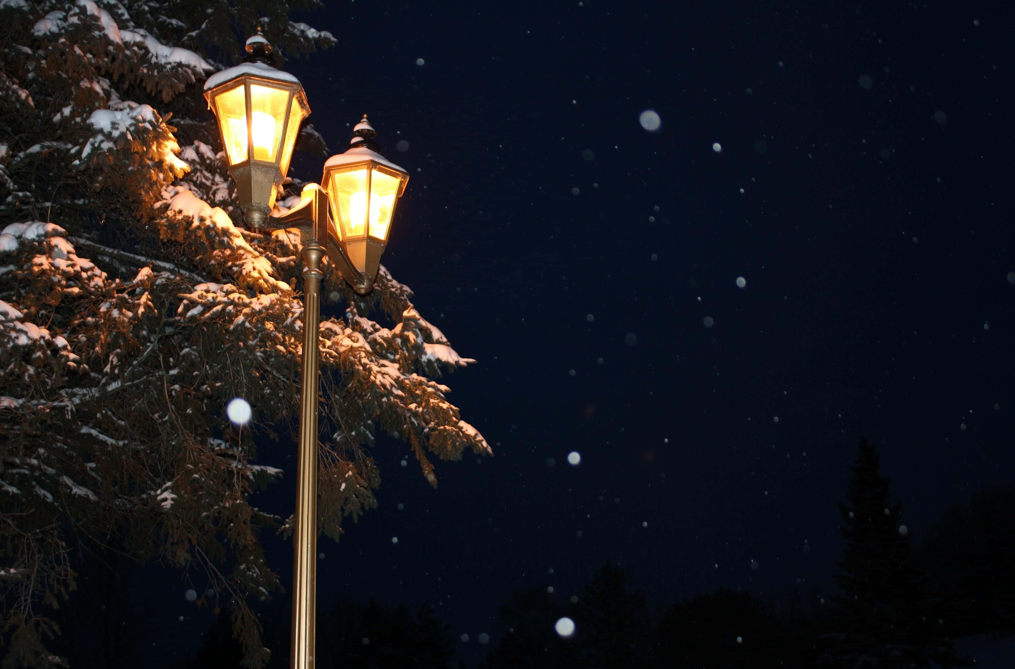 vintage street lamps, warm light, snow-dusted pine branches, 4K Desktop Wallpaper