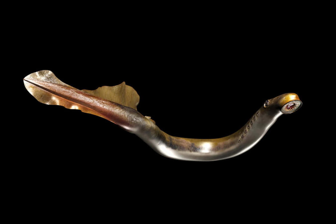 sea lamprey, metallic, curved body, HD Desktop Wallpaper