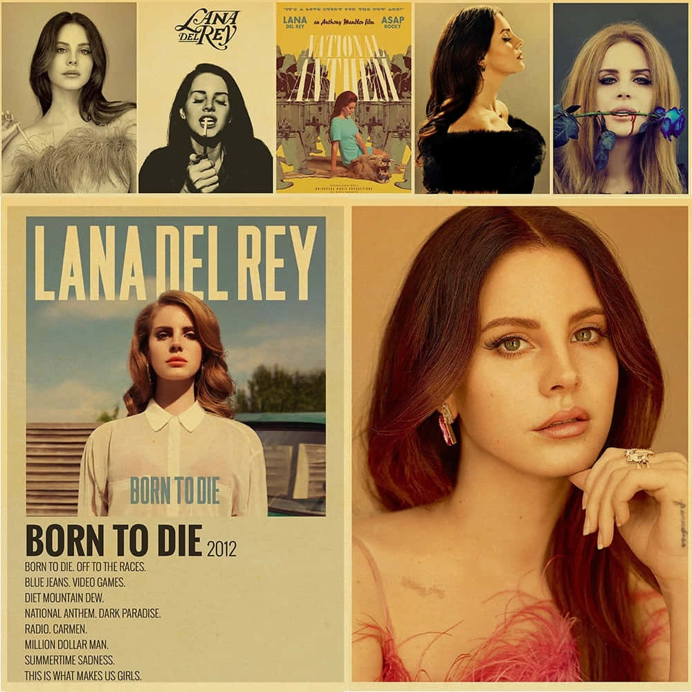Lana Del Rey, feathered outfits, roses, SD Desktop Wallpaper