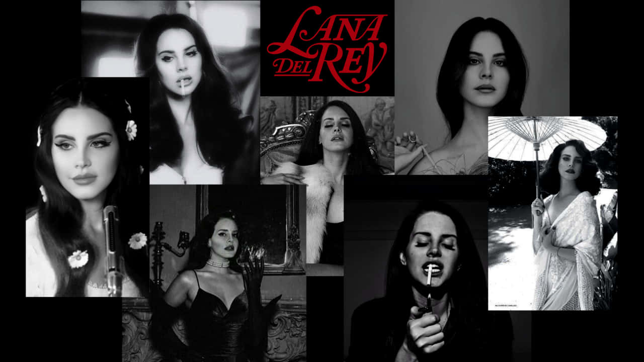 Lana Del Rey, black and white collage, moody poses, HD Desktop Wallpaper