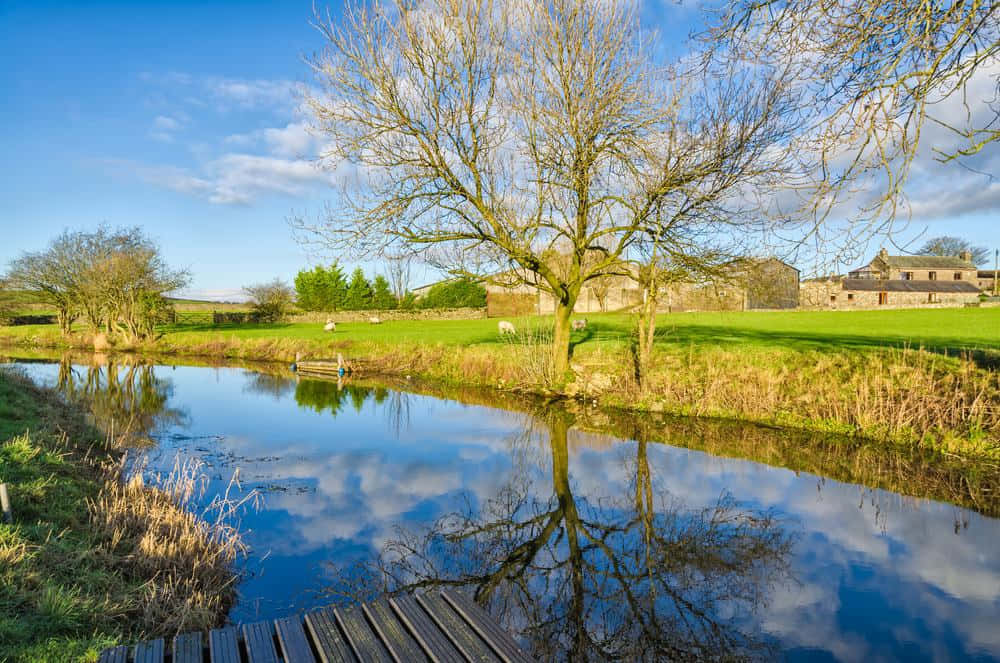 Lancaster, countryside pond, reflection, SD Desktop Wallpaper