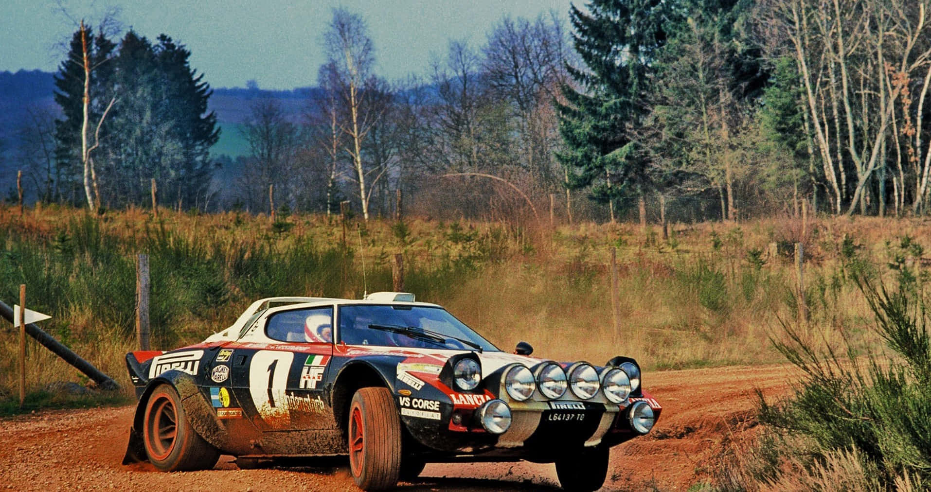 Lancia Stratos, number 11, dusty forest road, HD Desktop Wallpaper