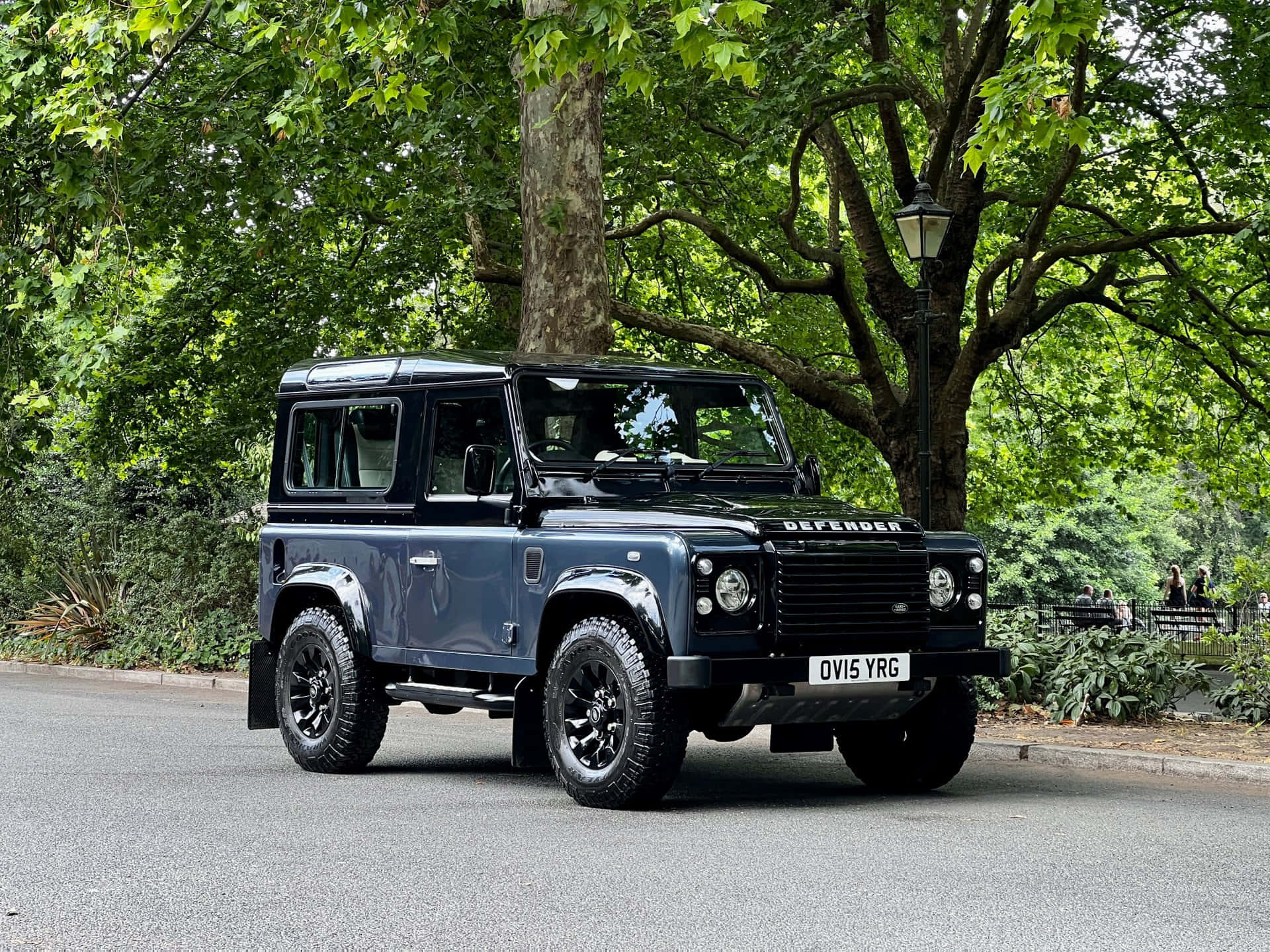 Land Rover Defender, blue, tree-lined park road, Full HD Desktop Wallpaper