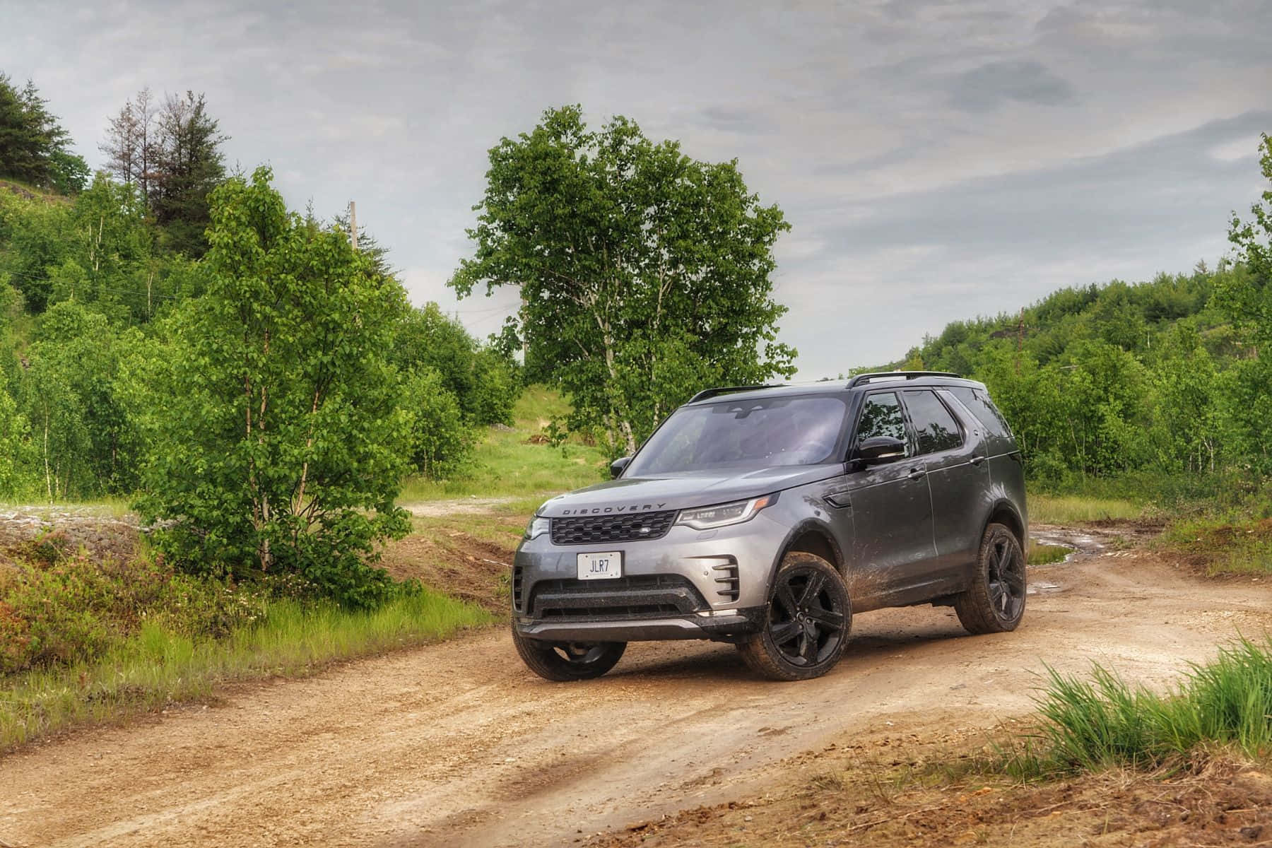 Land Rover Discovery, gray, muddy forest trail, HD Desktop Wallpaper