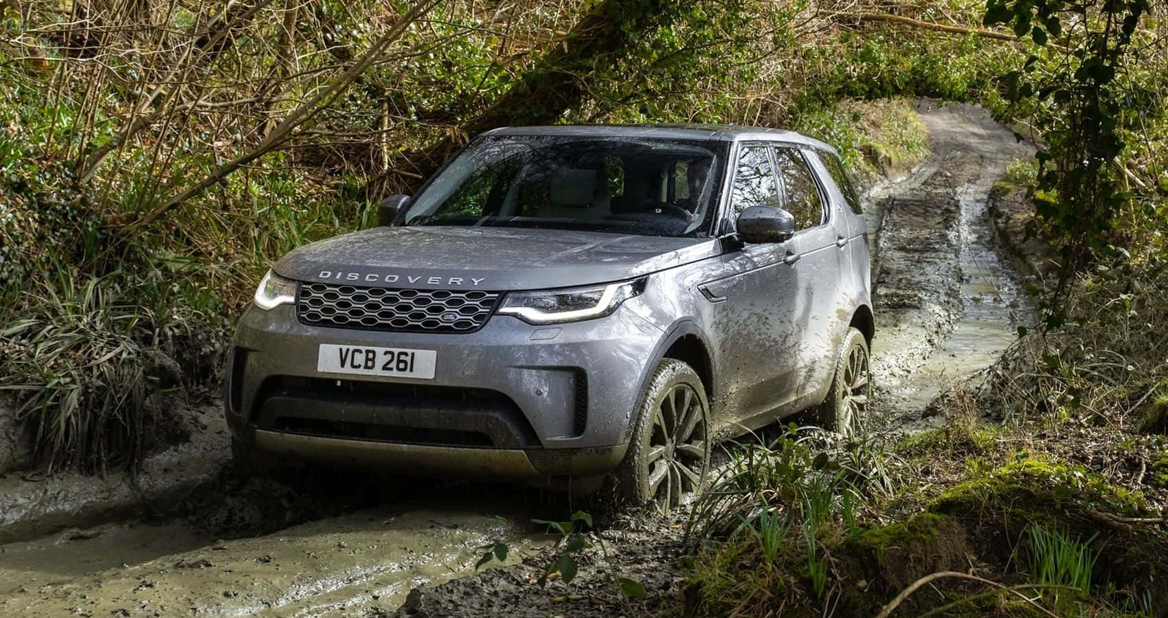 Land Rover Discovery, silver, muddy forest trail, HD Desktop Wallpaper