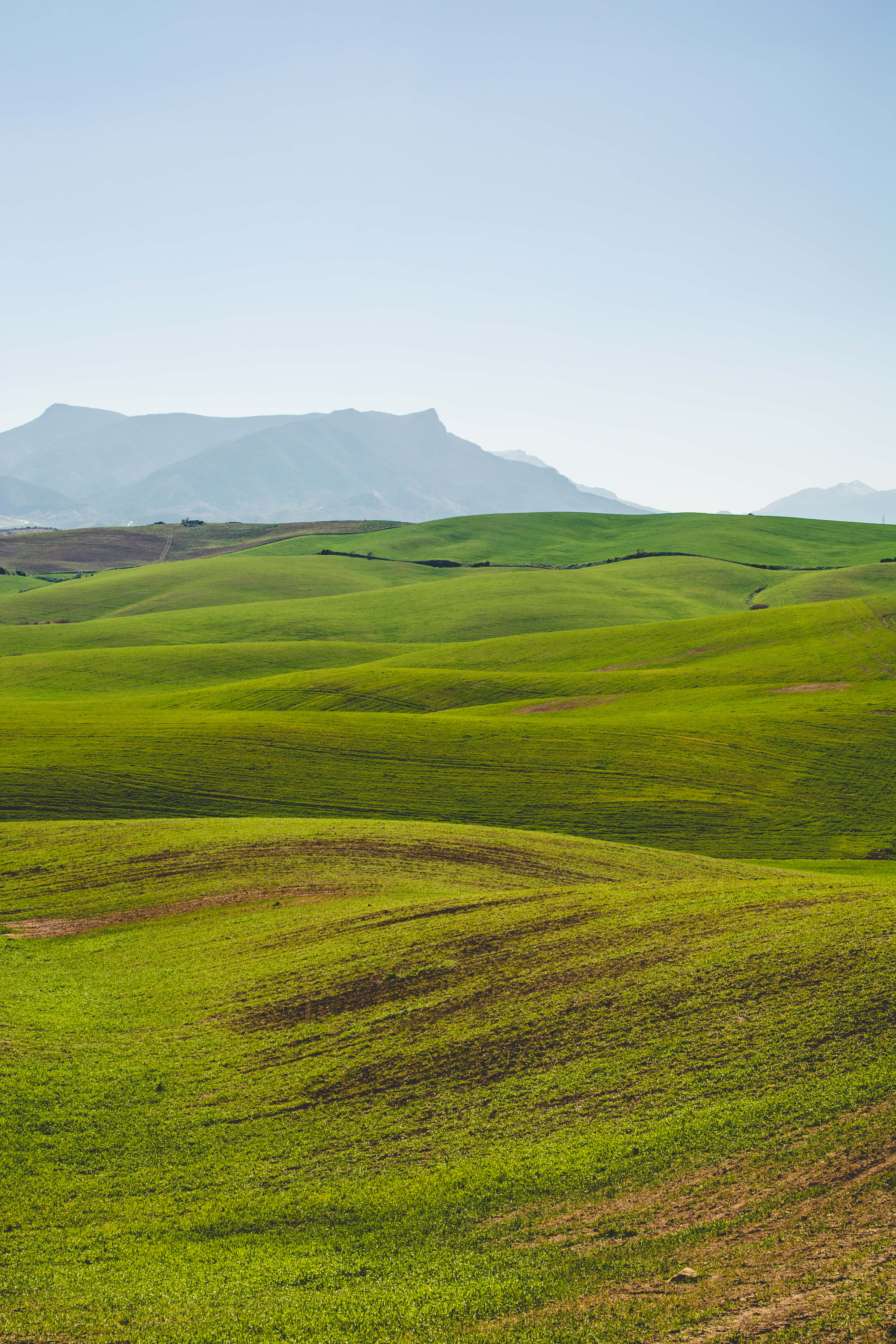sunrise, lush green landscape, rolling green hills, 5K Phone Wallpaper