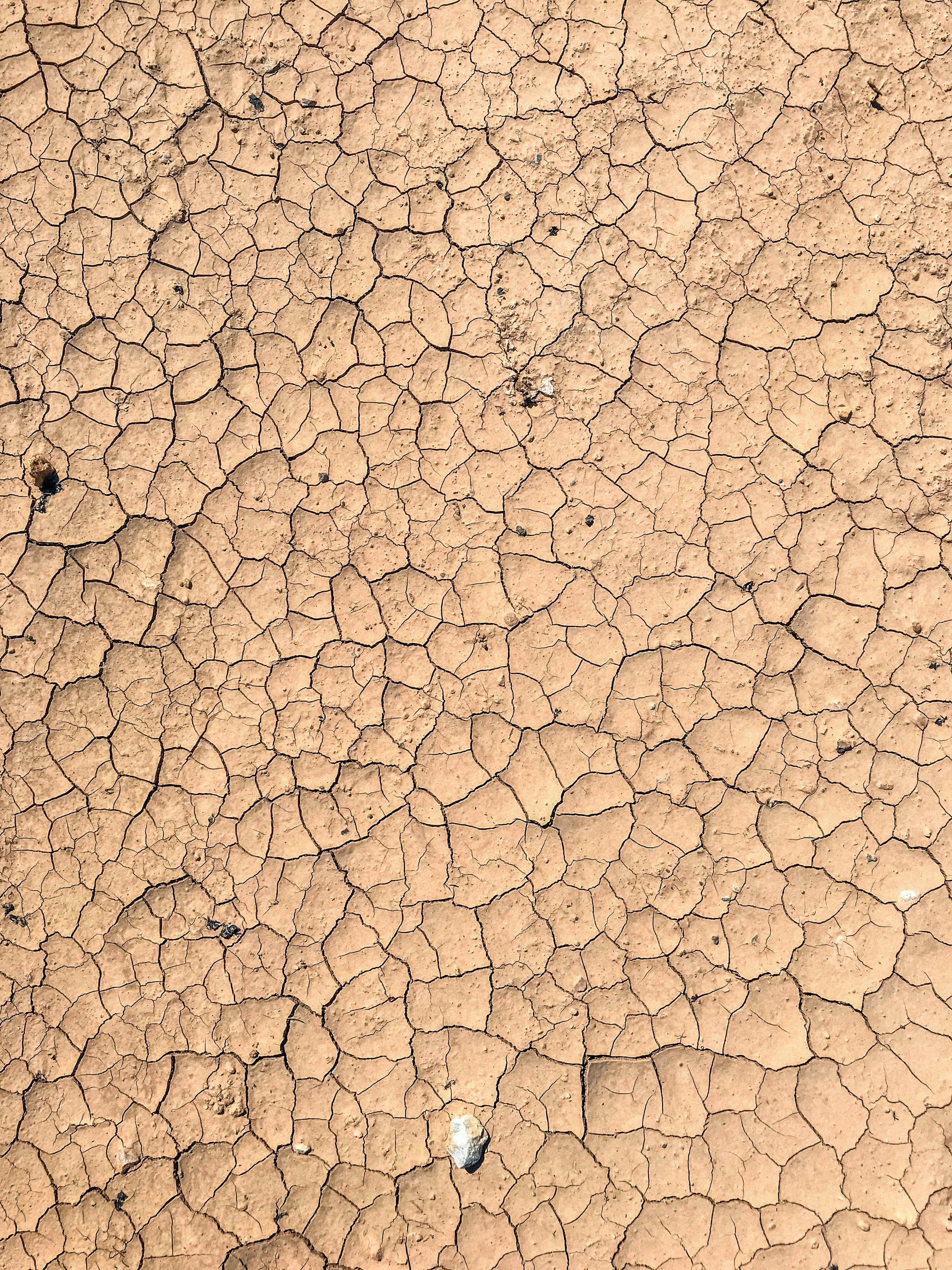 dry mud texture, cracked mud, rugged desert texture, 4K Phone Wallpaper