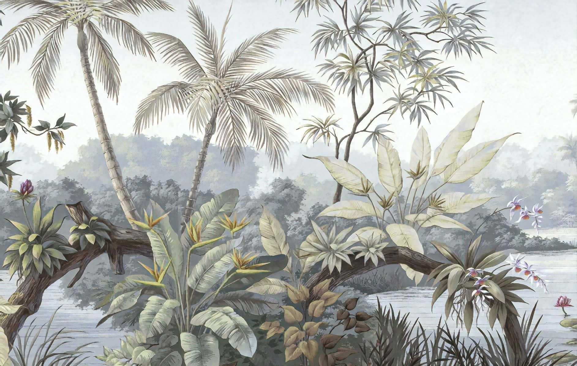 tropical jungle mural, palm trees, banana leaves, HD Desktop Wallpaper
