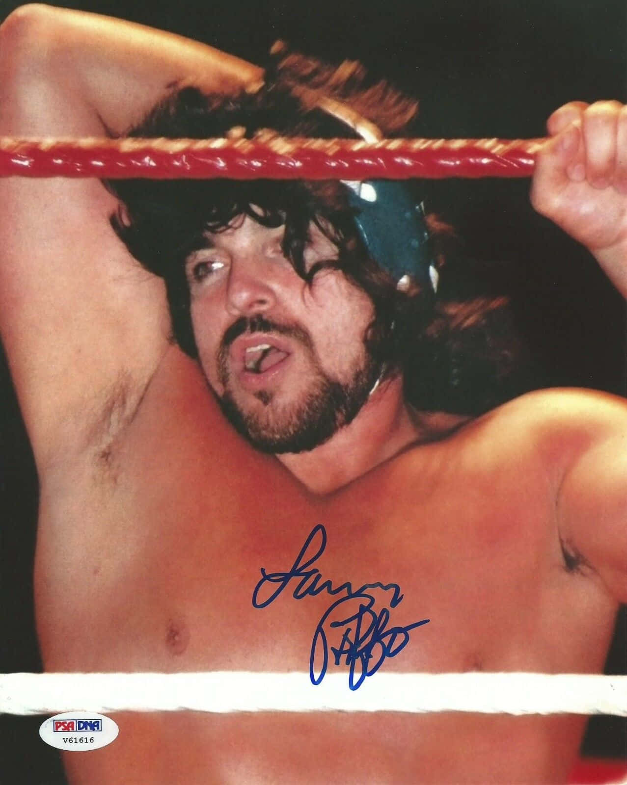 Lanny Poffo, long hair, blue headgear, HD Phone Wallpaper