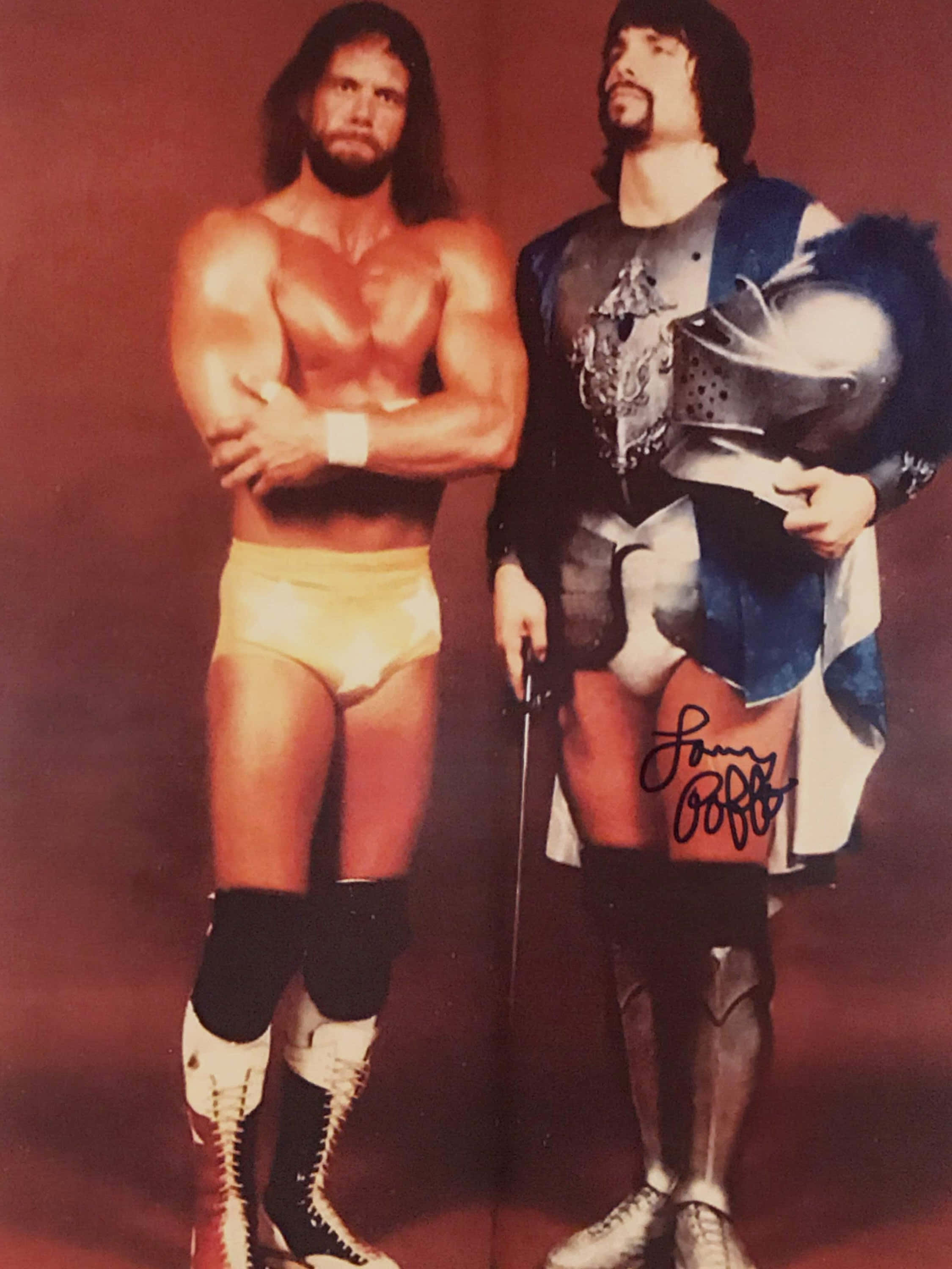 Lanny Poffo, wrestling gear, medieval armor, 2K Phone Wallpaper