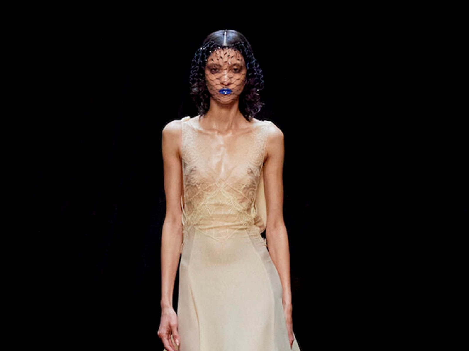 Lanvin, beige lace gown, black net veil, HD Desktop Wallpaper