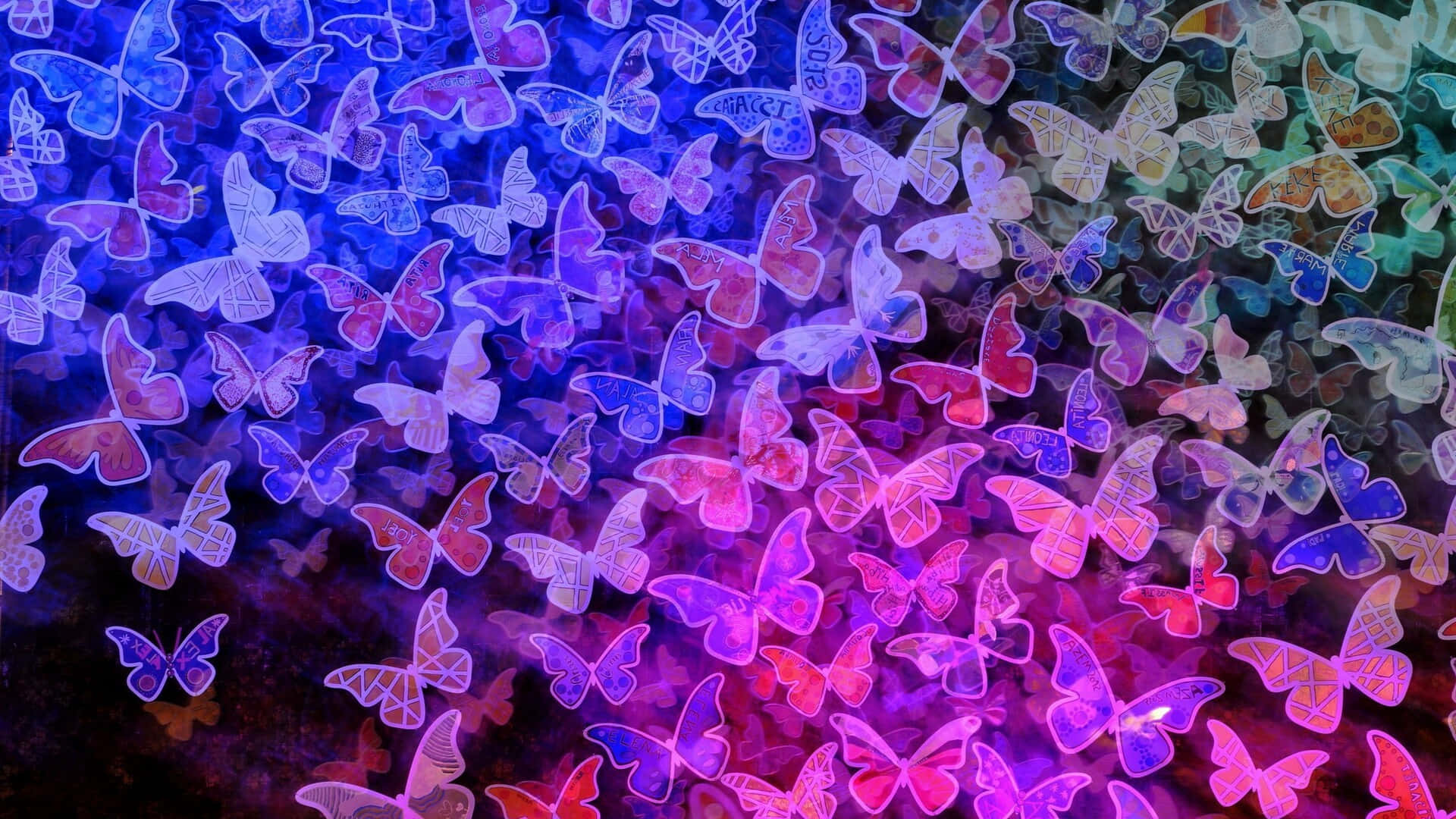 butterflies, purple pink and blue, glowing outlines, Full HD Desktop Wallpaper