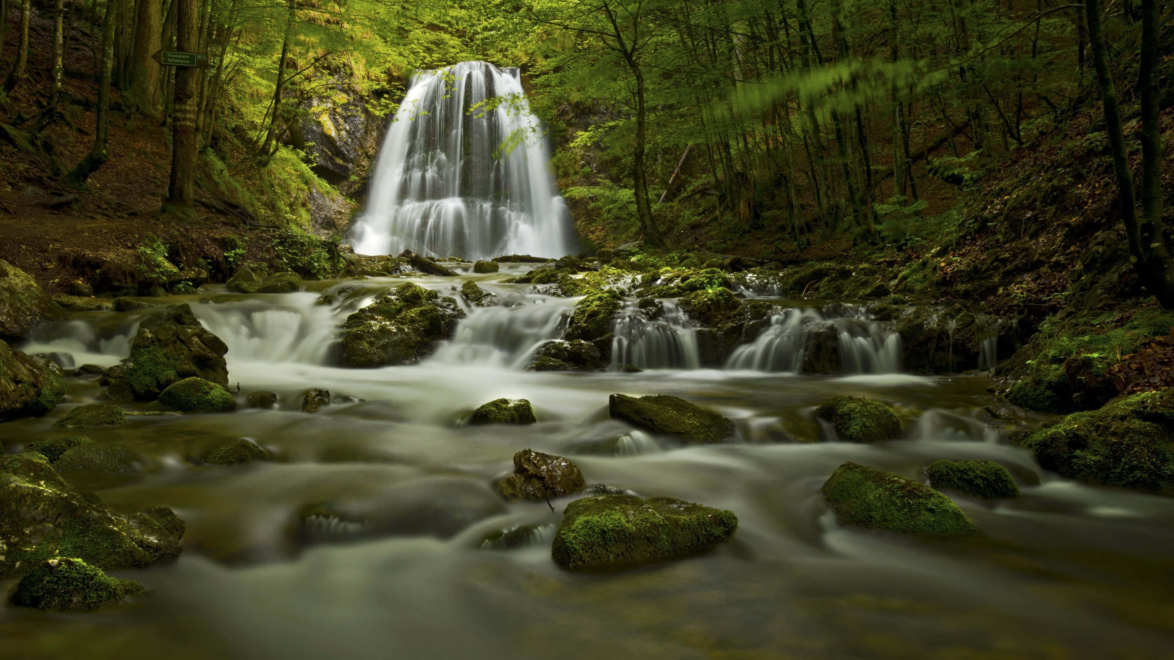 enchanting forest waterfall, 4K, mossy rocks, 4K Desktop Wallpaper