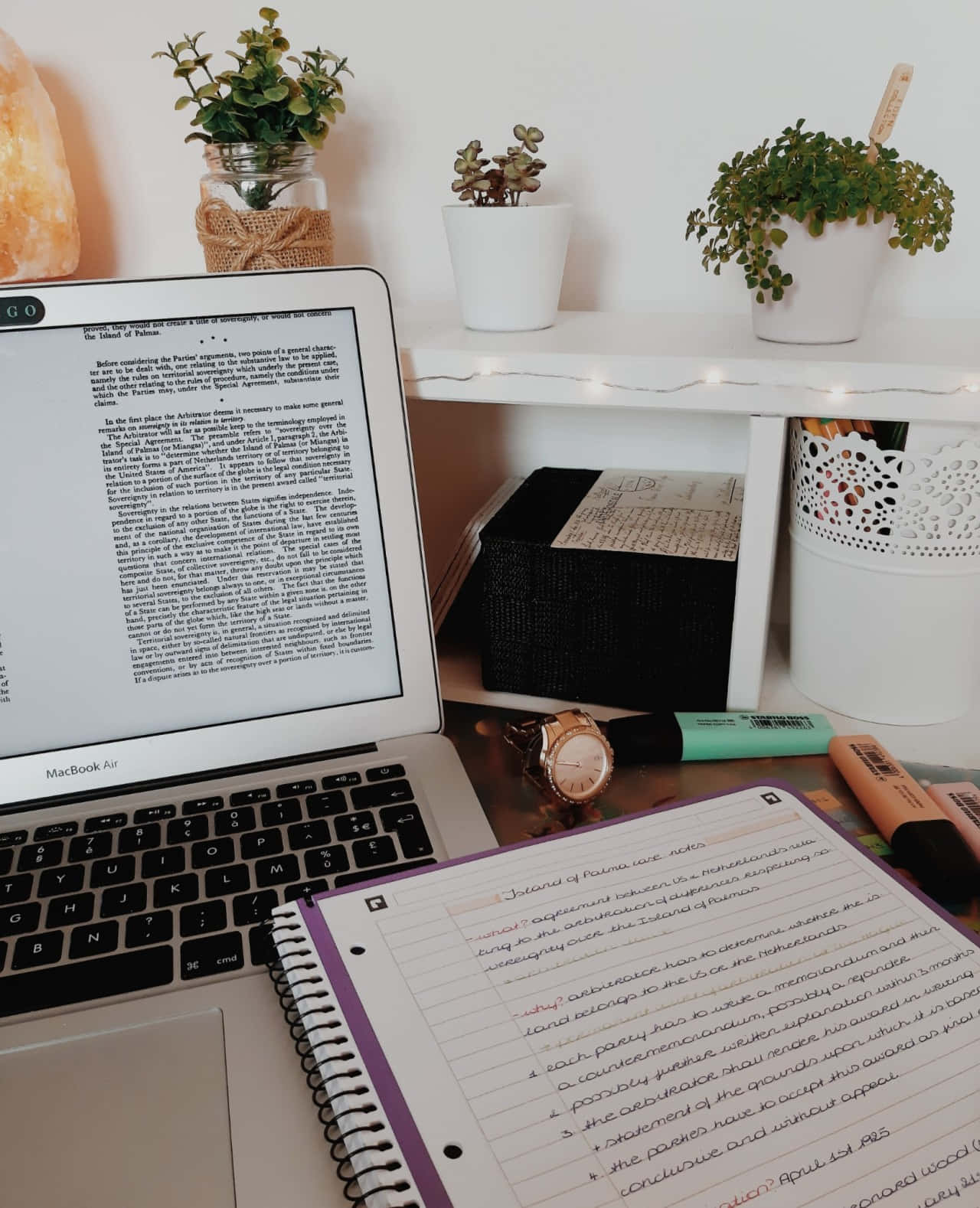 laptop, plants, cozy study setup, HD Phone Wallpaper