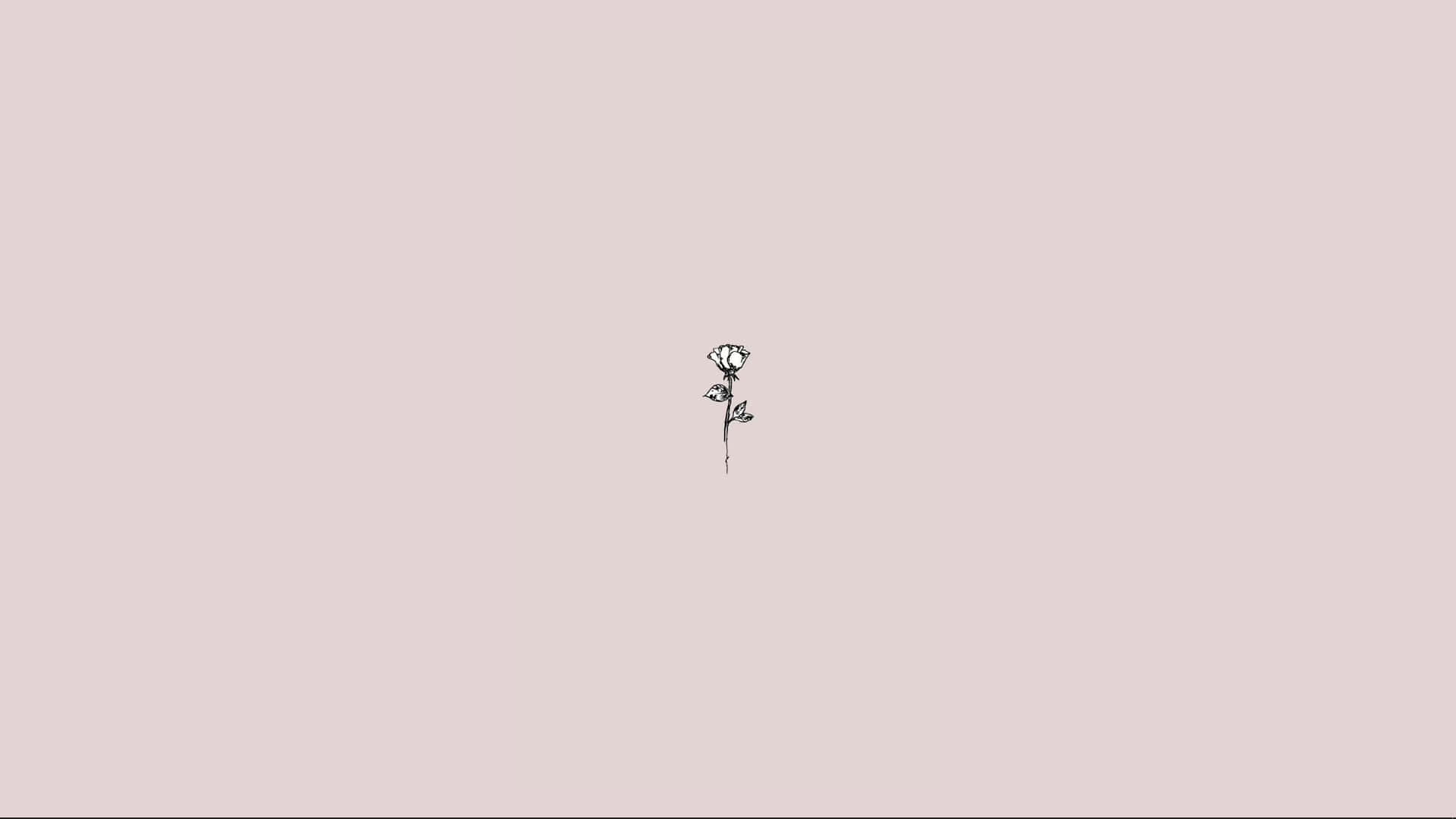 pink background, mauve background, black line drawing, Full HD Desktop Wallpaper