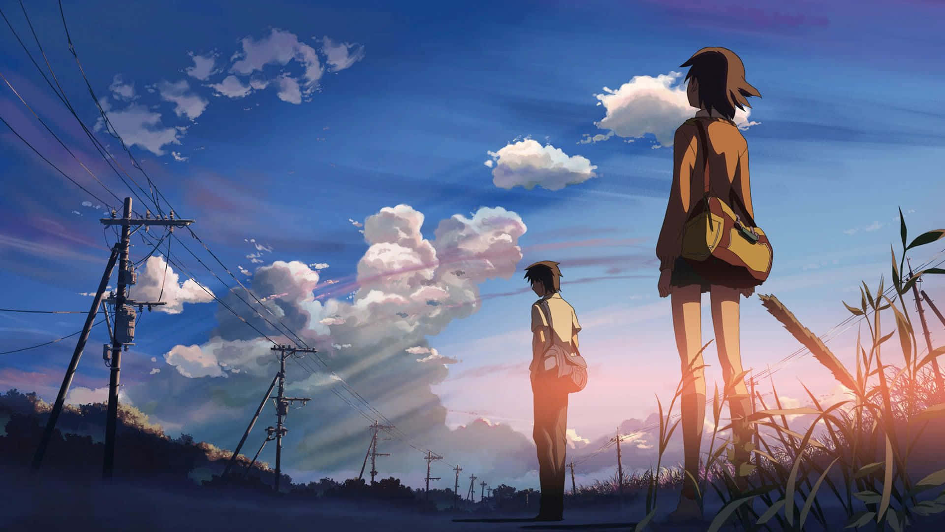 anime teens, tall grass, vibrant sunset sky, Full HD Desktop Wallpaper