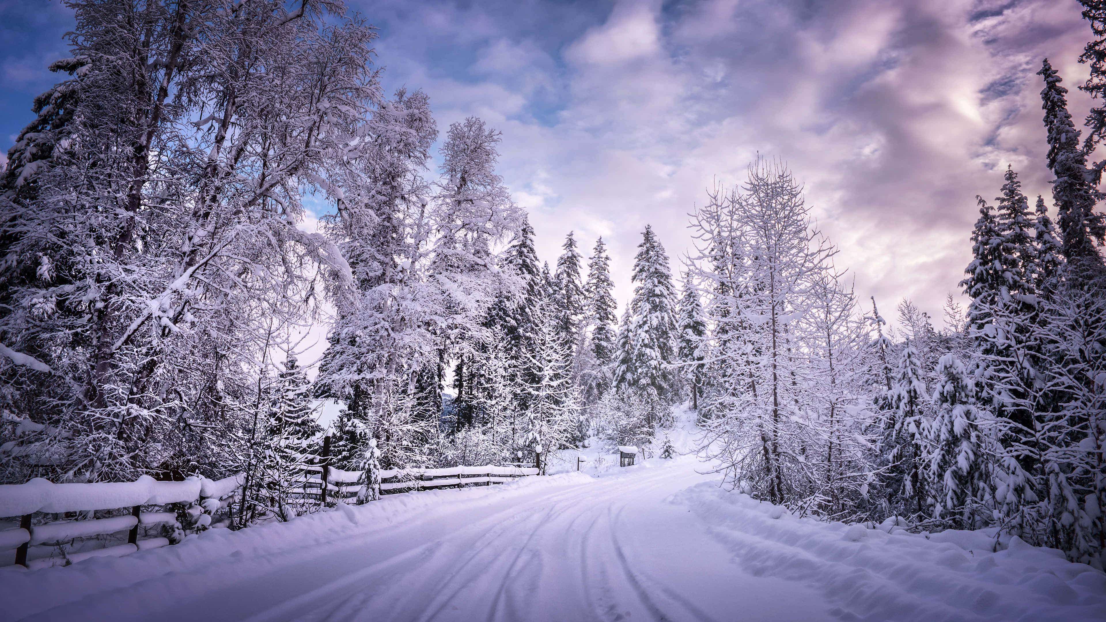 laptop winter, snow-covered road, dense forest, 4K Desktop Wallpaper