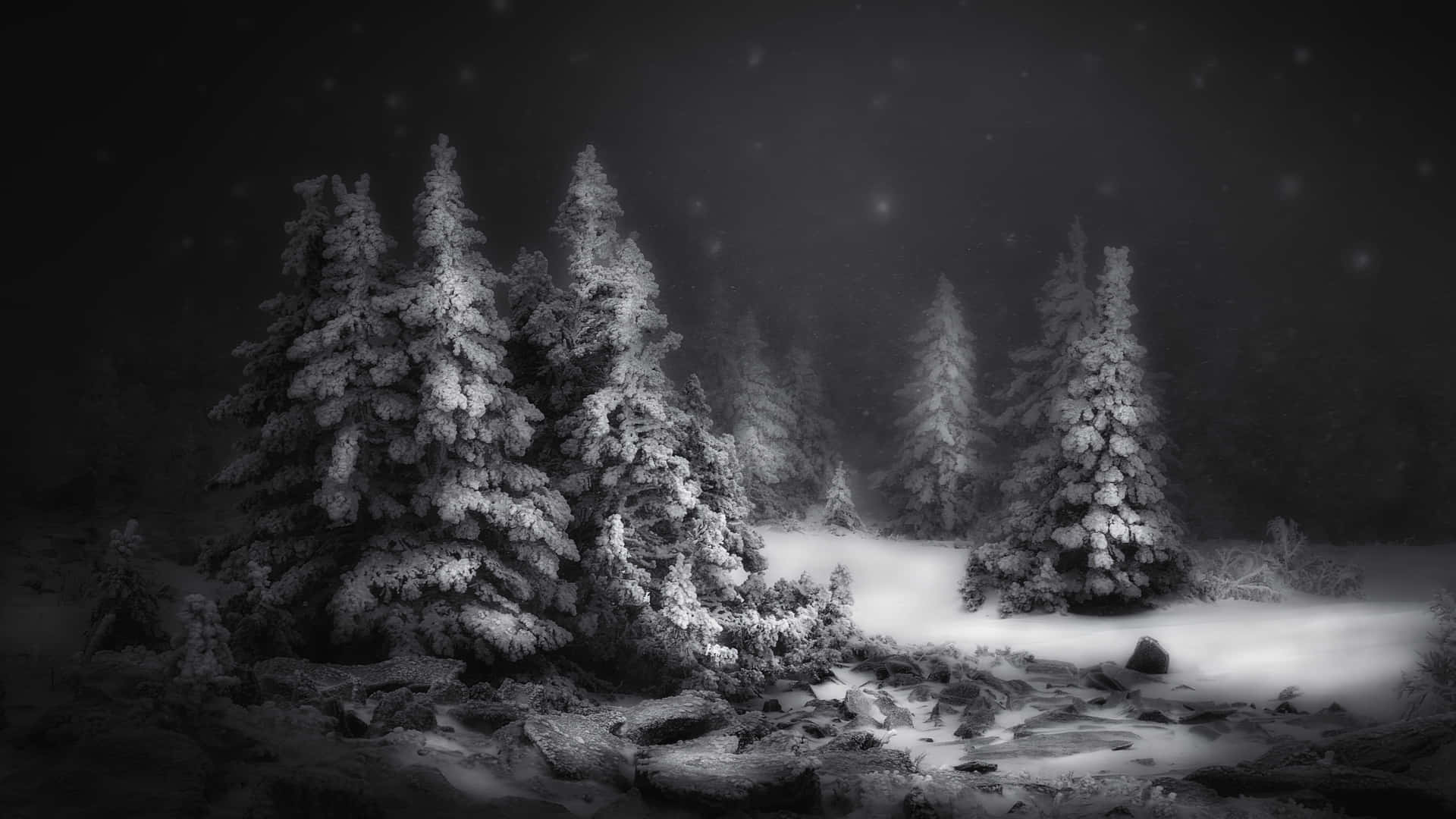 Laptop Winter, Winter Black Forest Laptop, snow, Full HD Desktop Wallpaper