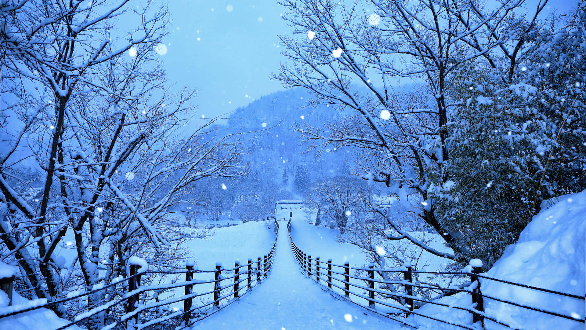 Laptop Winter, snow-covered wooden bridge, winter forest, Full HD Desktop Wallpaper