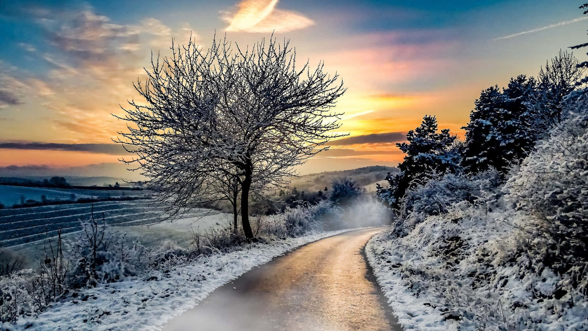 laptop winter, snowy winter road, frost-covered tree, Full HD Desktop Wallpaper