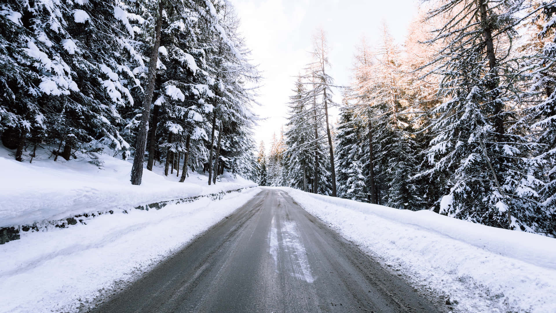 Laptop Winter, snow-covered road, dense pine forest, Full HD Desktop Wallpaper