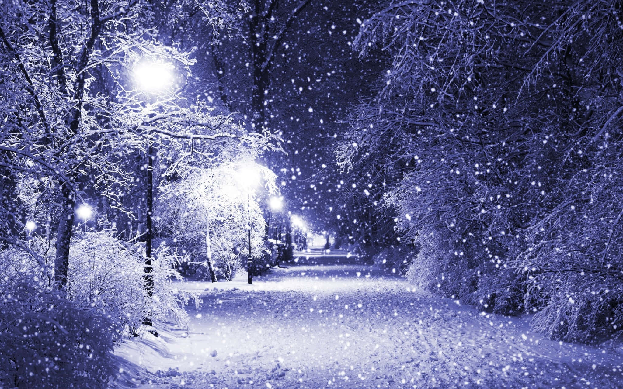 Laptop Winter, snow, quiet park path, Full HD Desktop Wallpaper