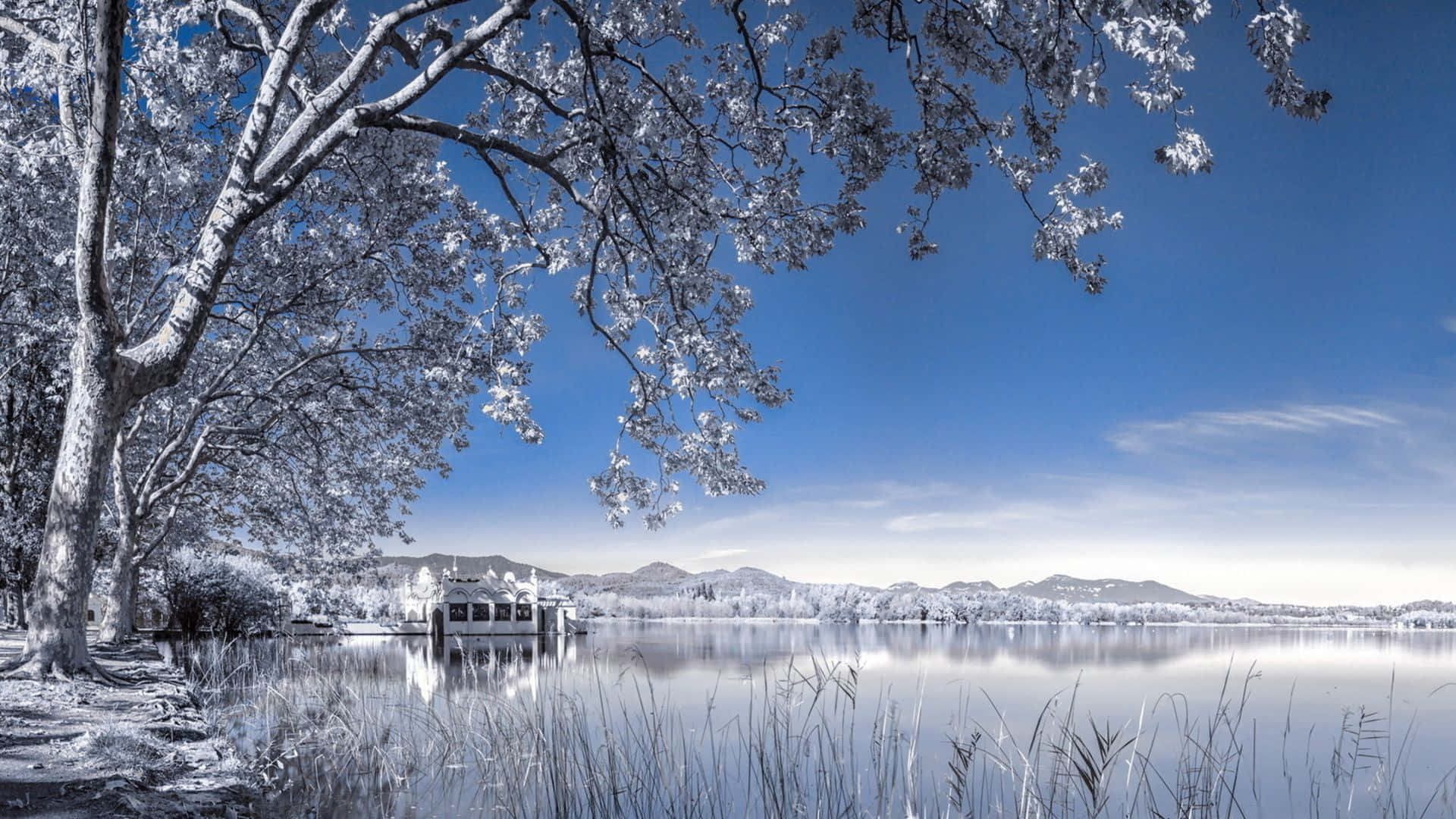 laptop winter, frozen lake, bright blue sky, Full HD Desktop Wallpaper