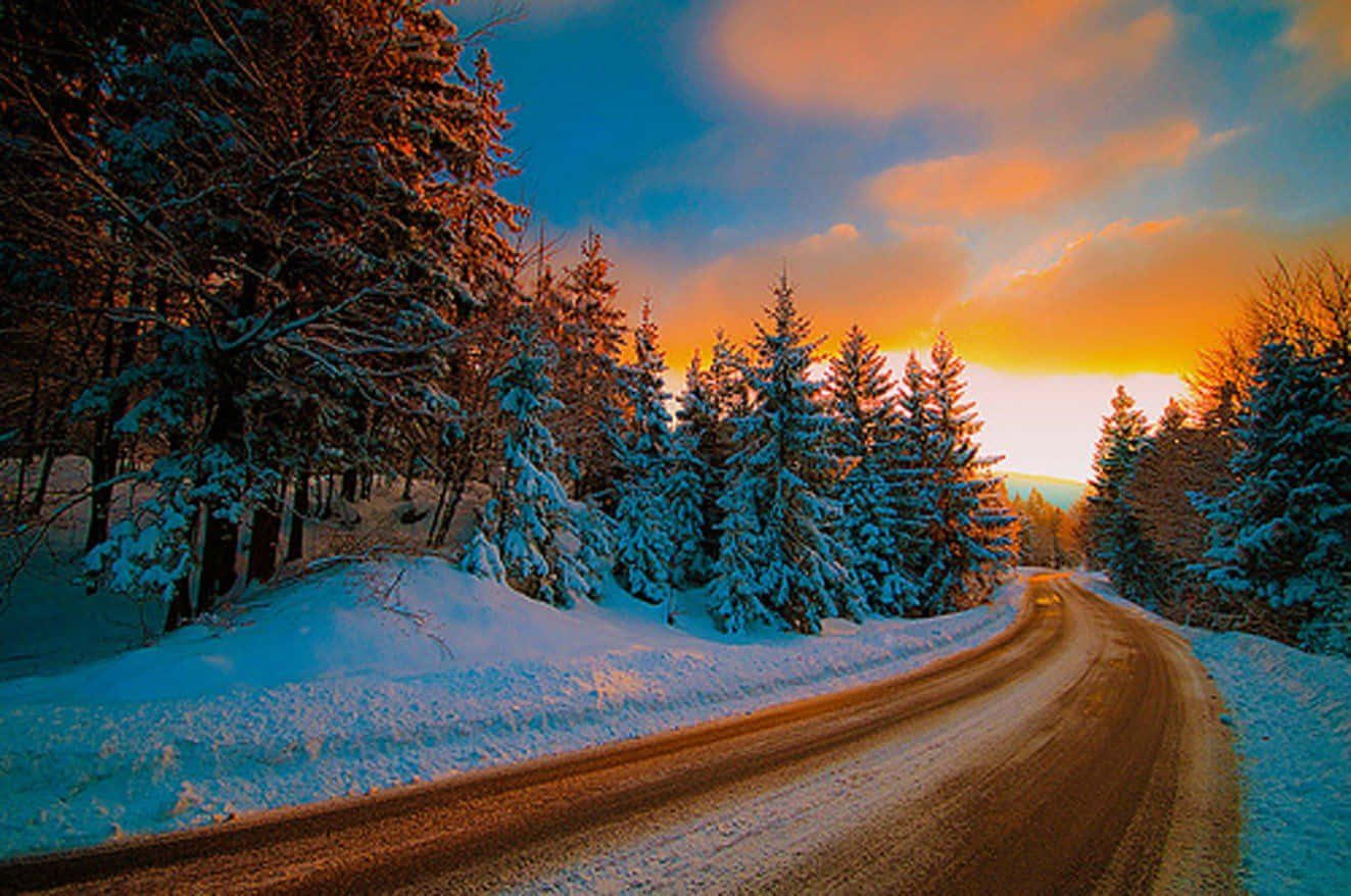 Laptop Winter, snowy road, forest of snow-laden pine trees, HD Desktop Wallpaper