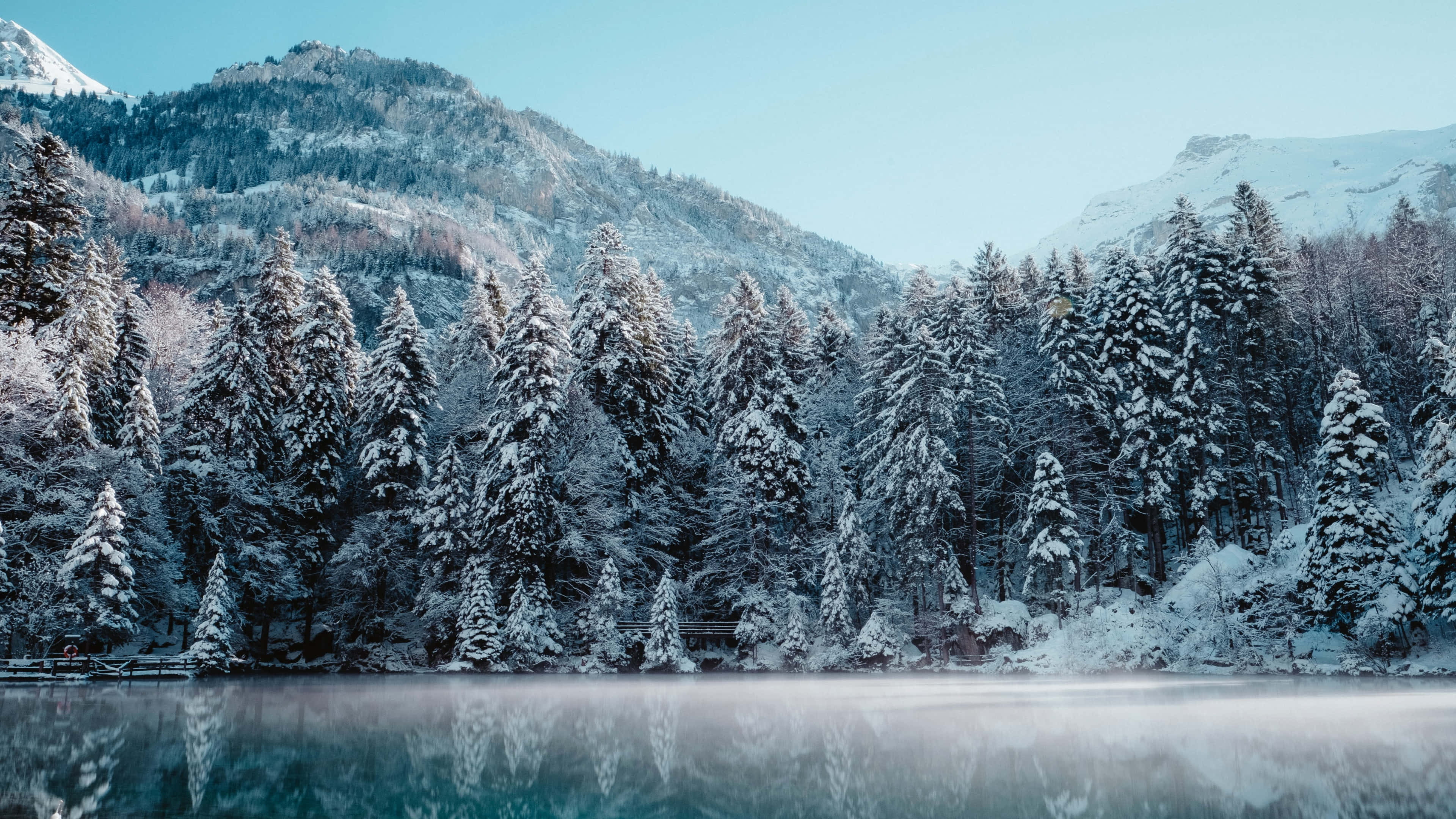 Laptop Winter, snow-covered pine trees, calm lake, 4K Desktop Wallpaper