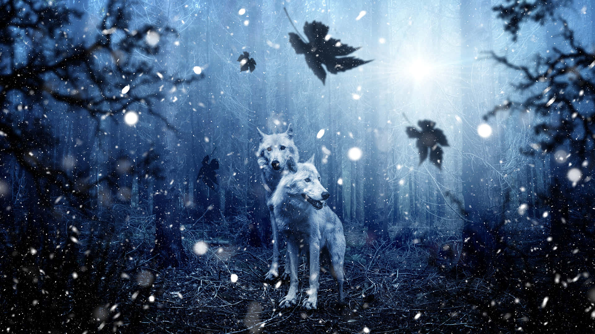 laptop winter, white wolves, snowy forest, Full HD Desktop Wallpaper