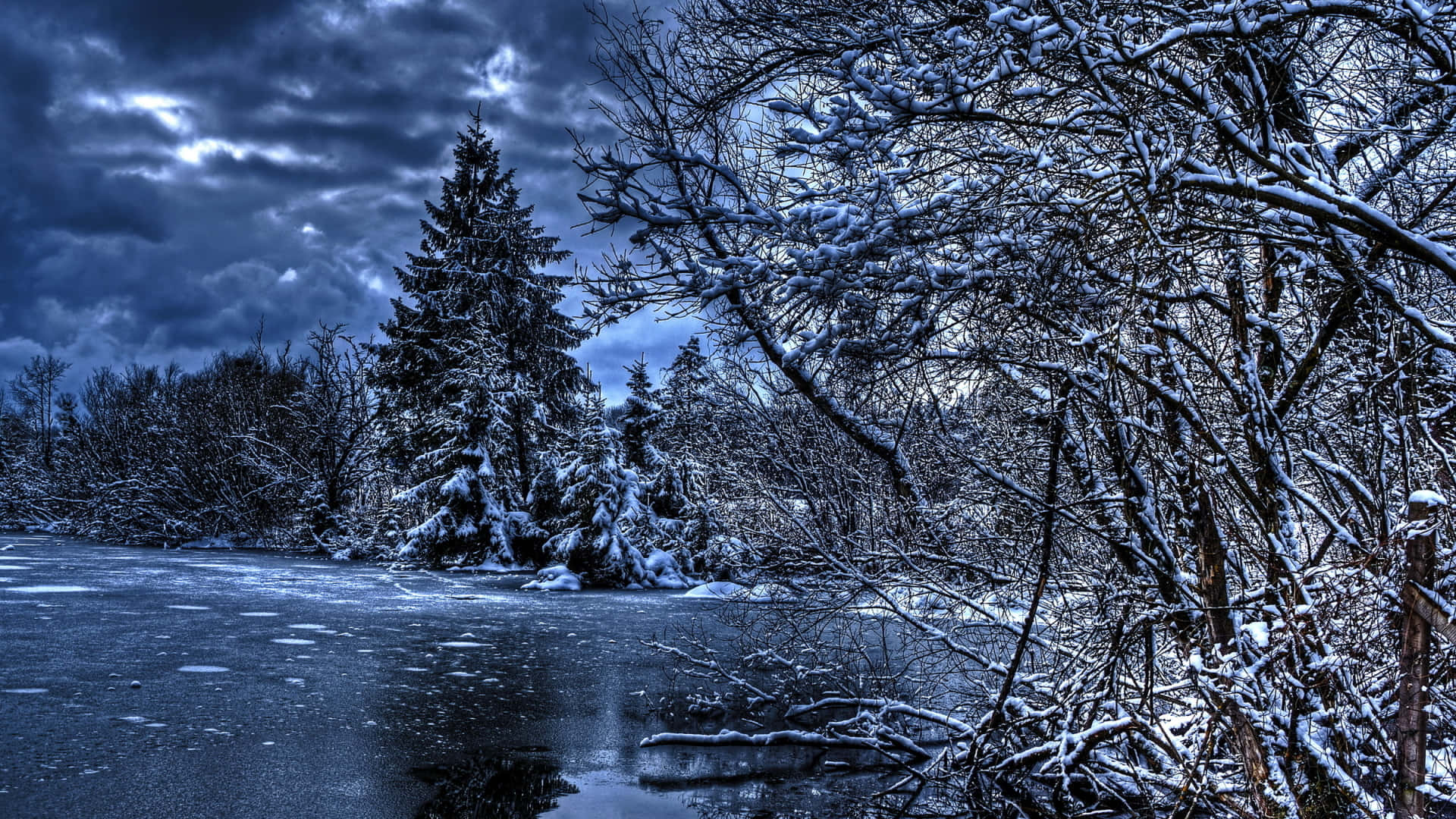 frozen river, snow, bare branches, Full HD Desktop Wallpaper