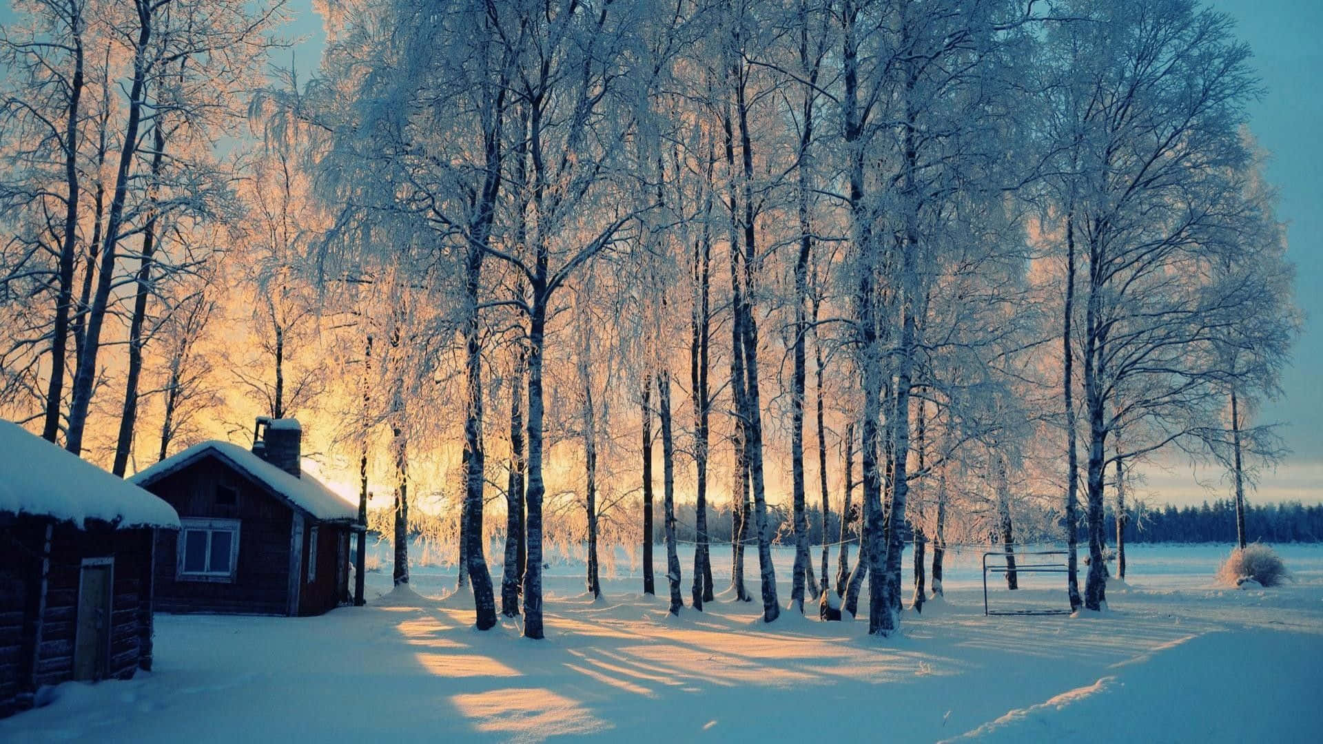 laptop winter, wooden cabin, snow-covered birch trees, Full HD Desktop Wallpaper