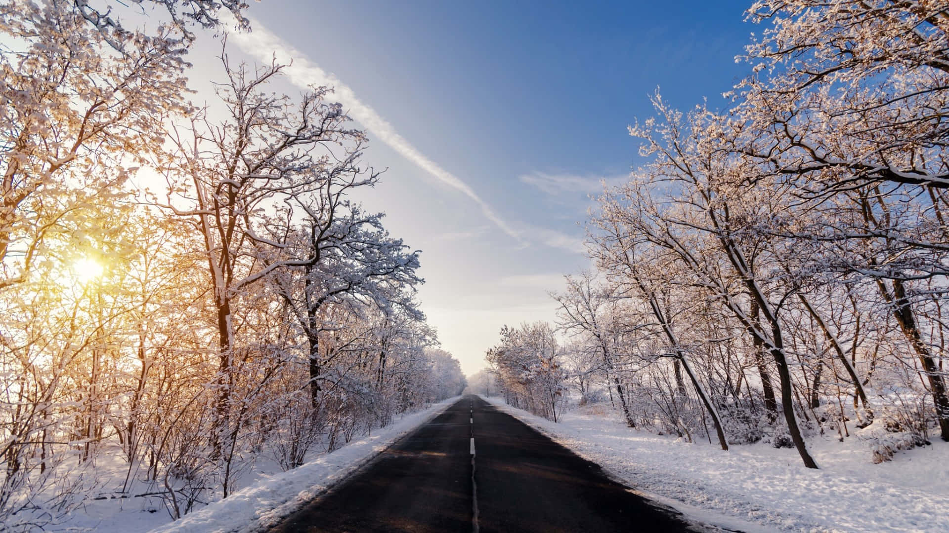 Laptop Winter, winter road, snow-covered trees, Full HD Desktop Wallpaper