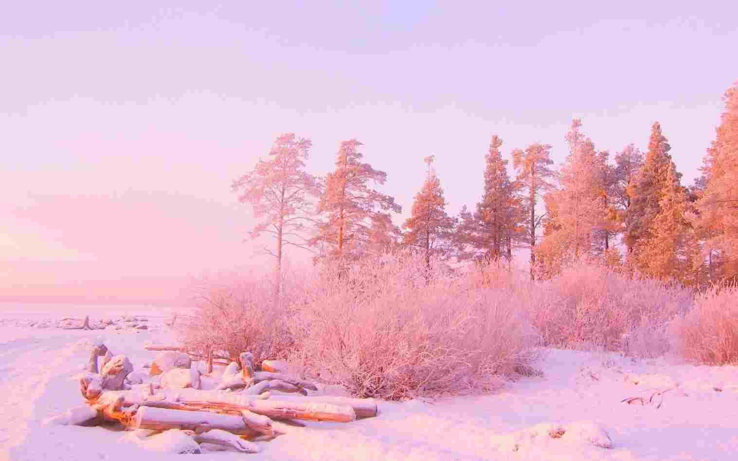 pastel pink aesthetic computer, snow-covered trees, driftwood, HD Desktop Wallpaper