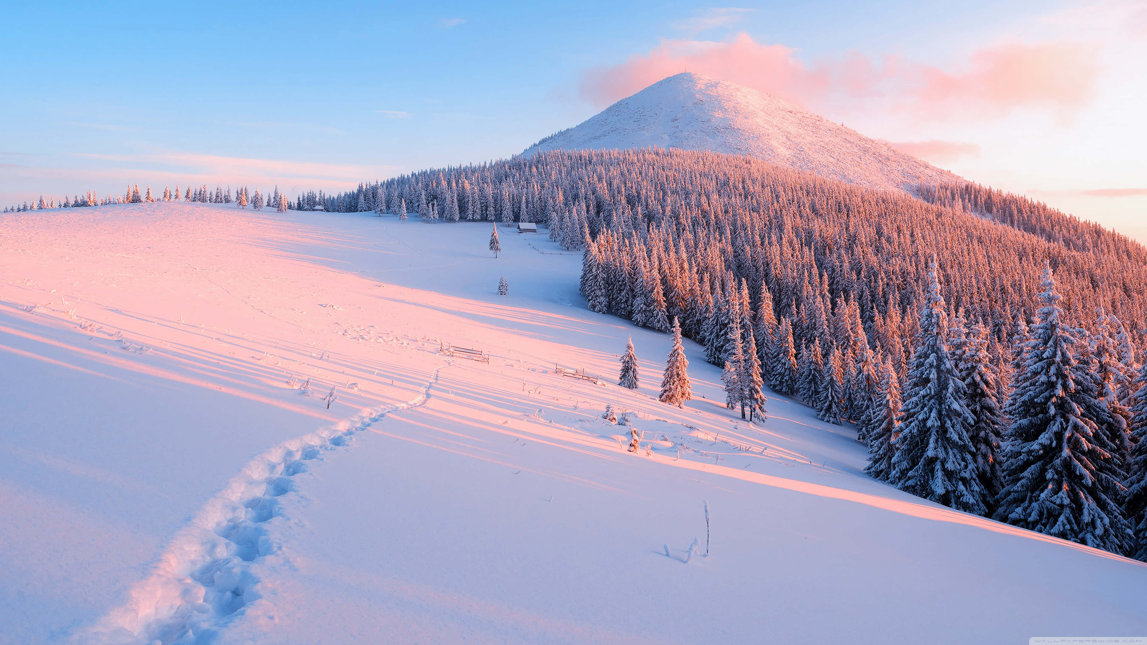 winter laptop, sunrise, pink light, 4K Desktop Wallpaper