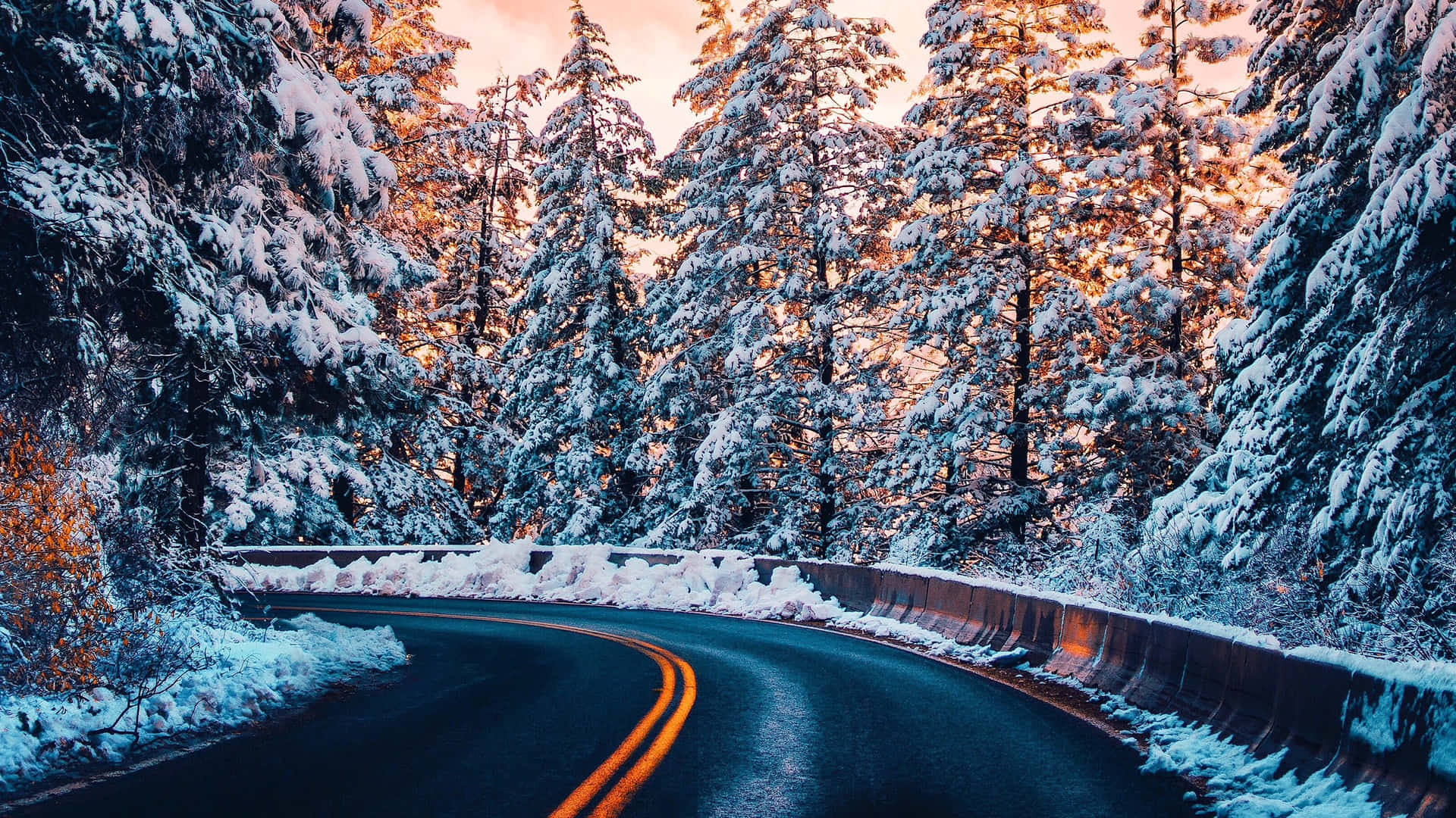 winter laptop, snowy road, dense forest, Full HD Desktop Wallpaper