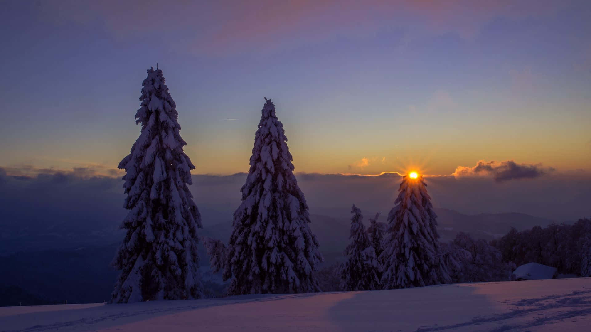 winter laptop, snow-covered pine trees, twilight sky, Full HD Desktop Wallpaper