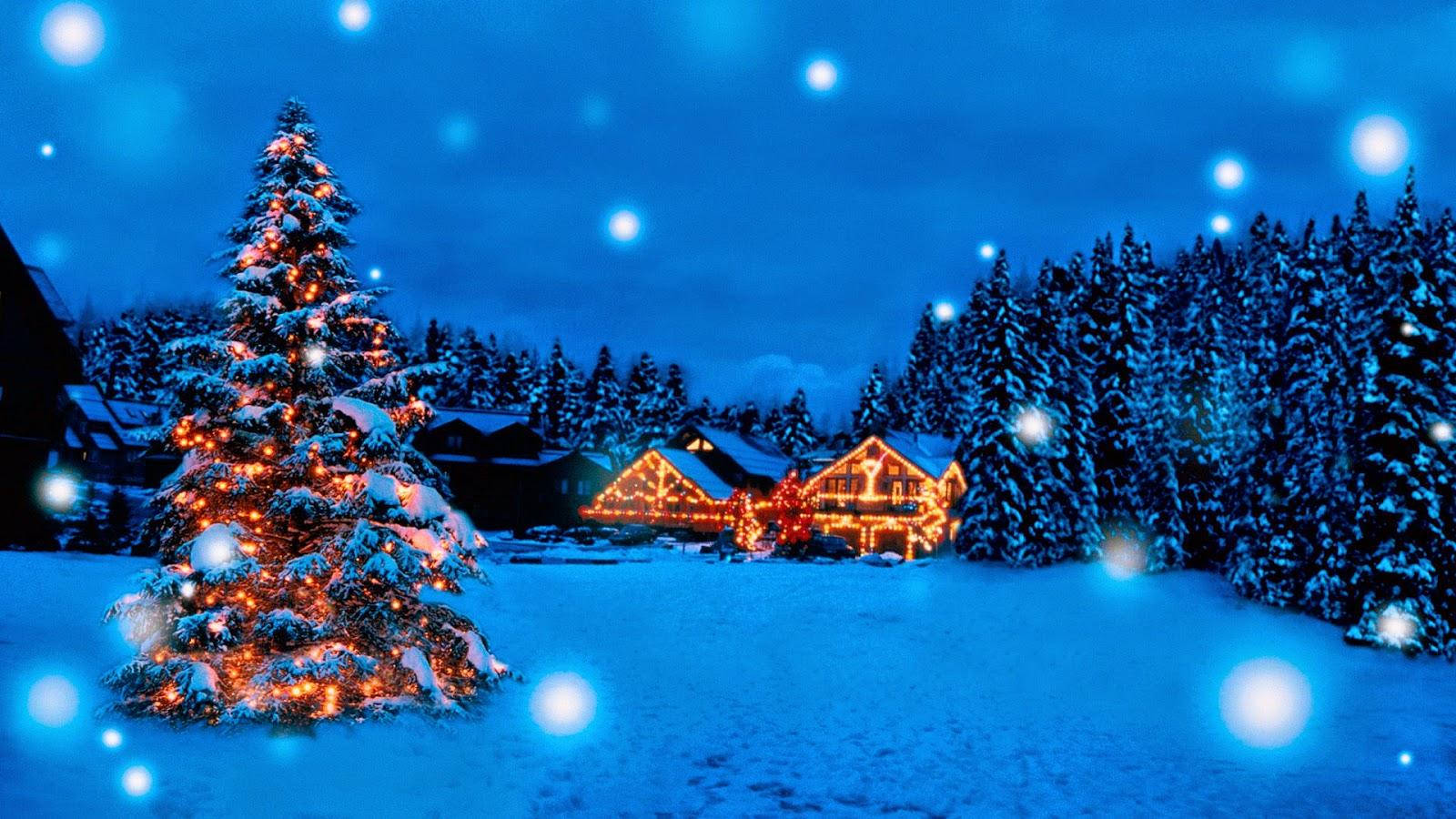 snow-covered Christmas tree, warm lights, cozy cabin village, HD Desktop Wallpaper