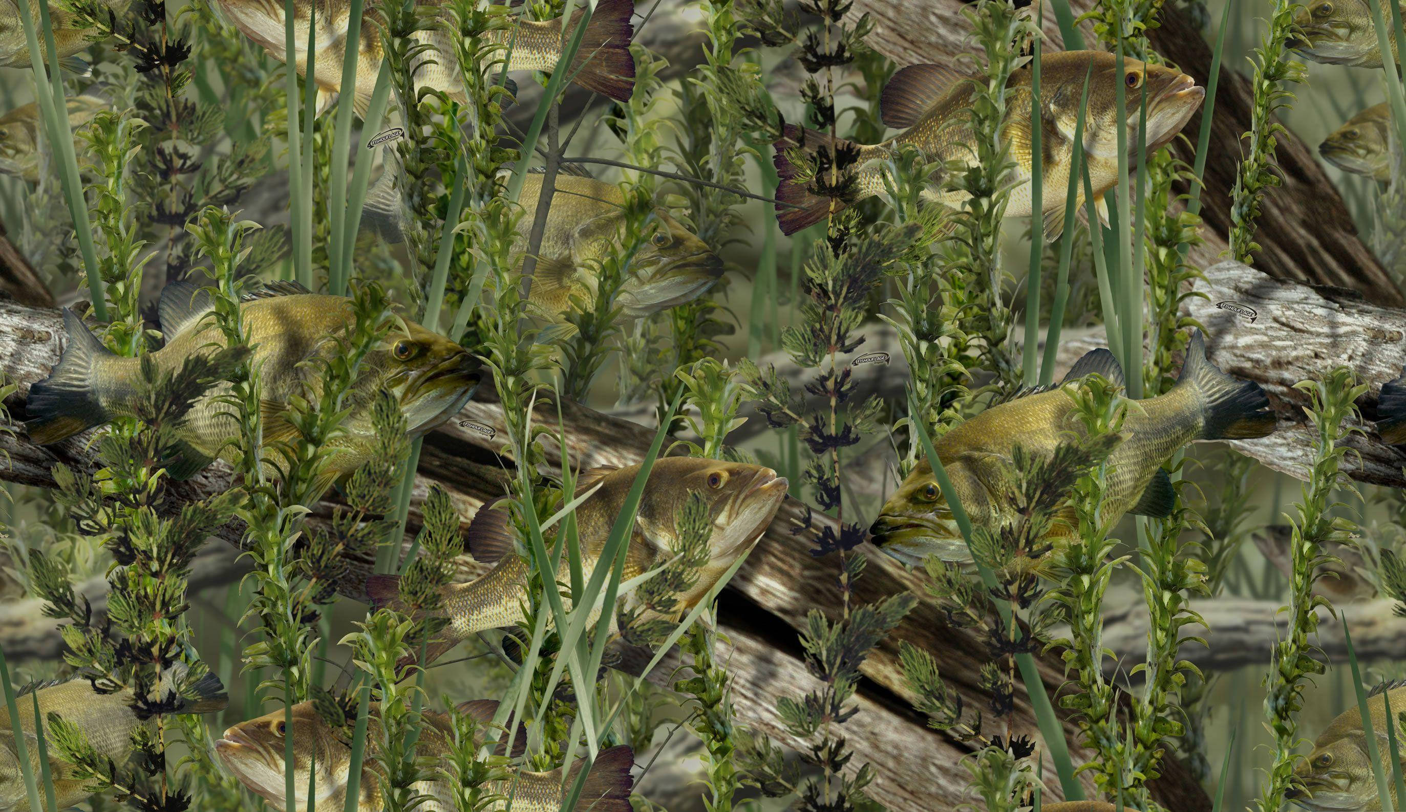 Largemouth Bass, green reeds, submerged logs, 2K Desktop Wallpaper